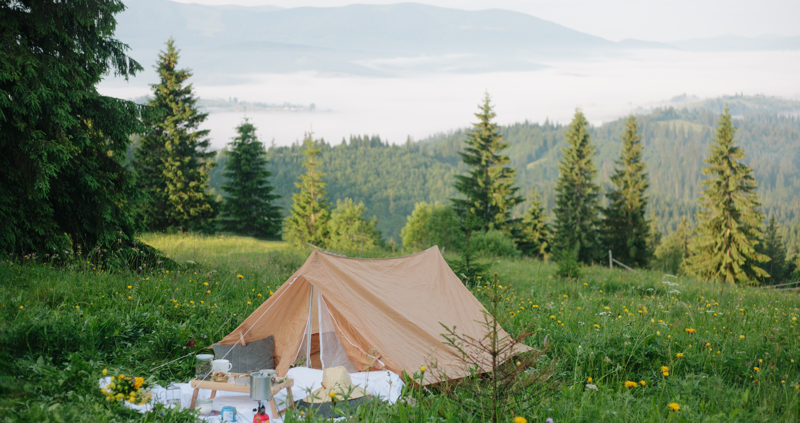 best camping spots Virginia