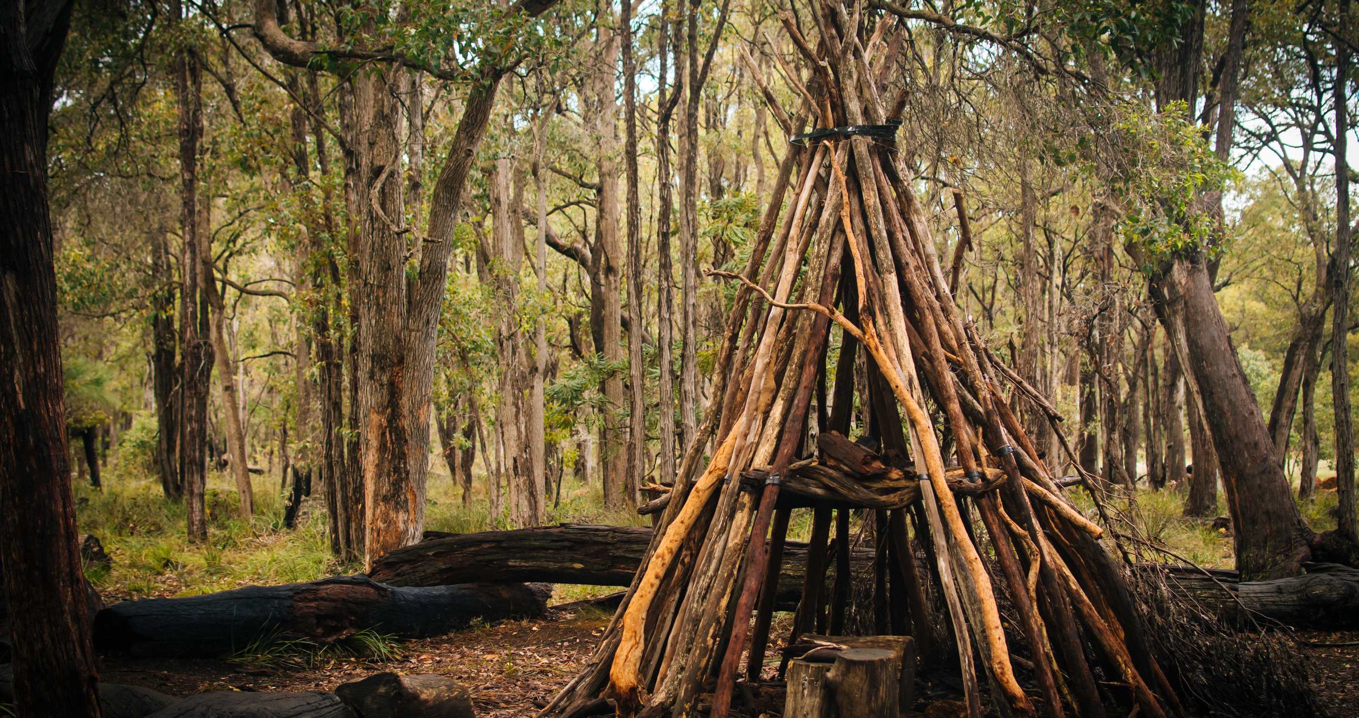 build a successful shelter with these tips