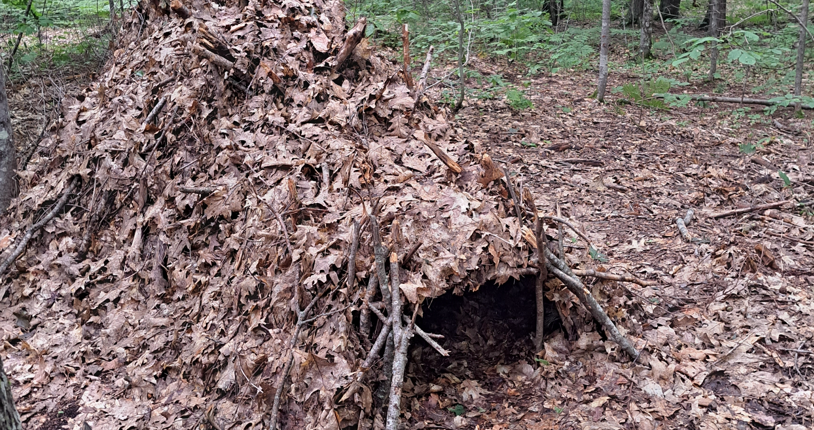 debris hut
