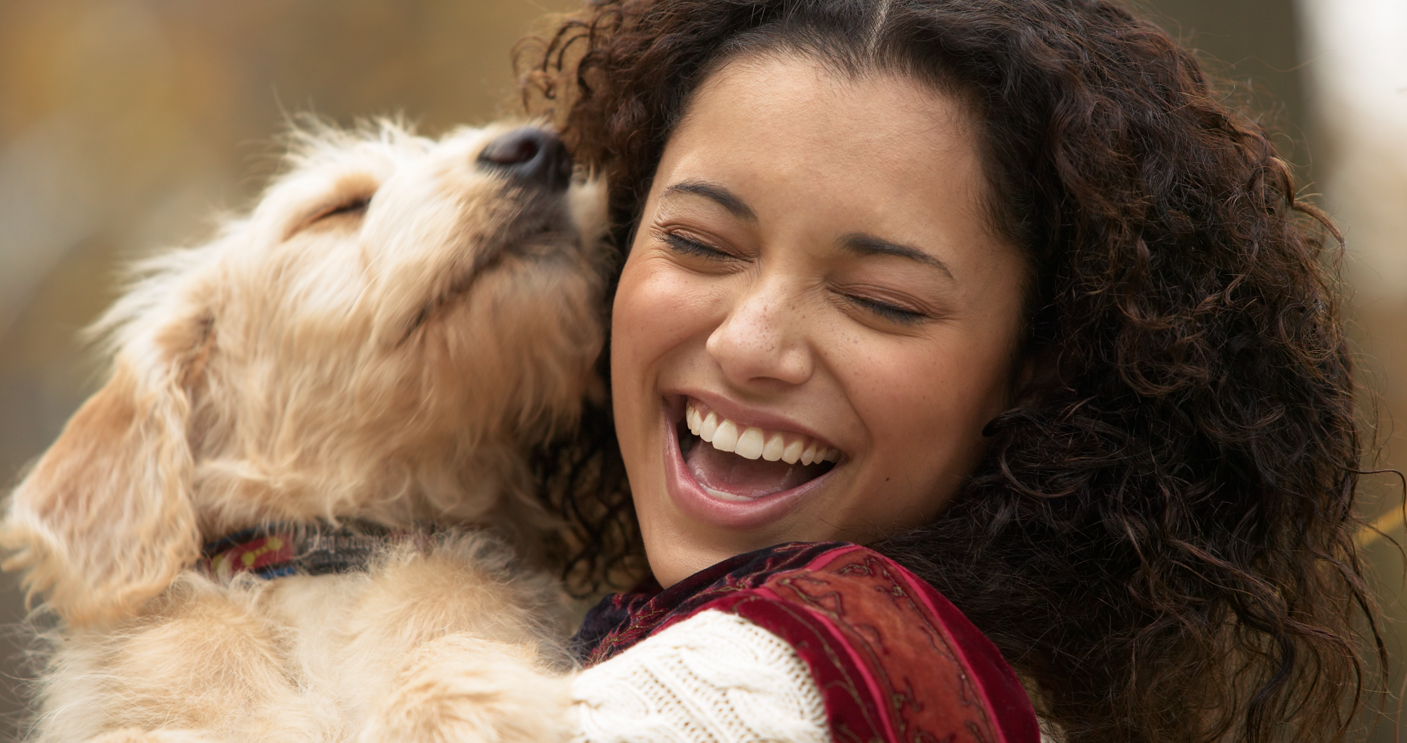 dogs lower blood pressure