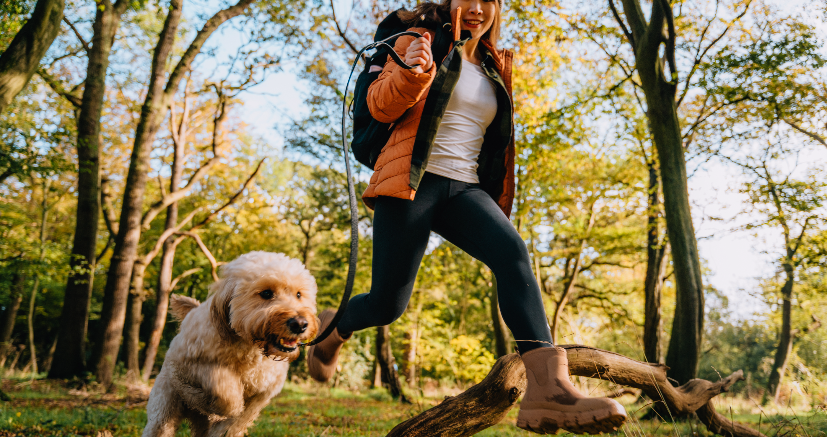 dogs make us more active