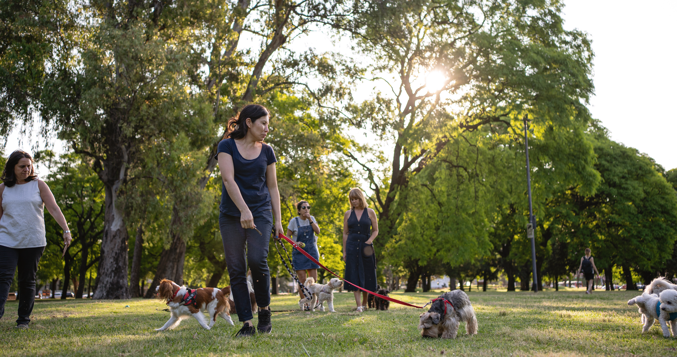 how owning a dog extends your life