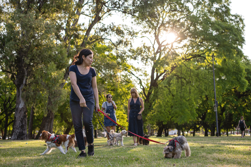 how owning a dog extends your life