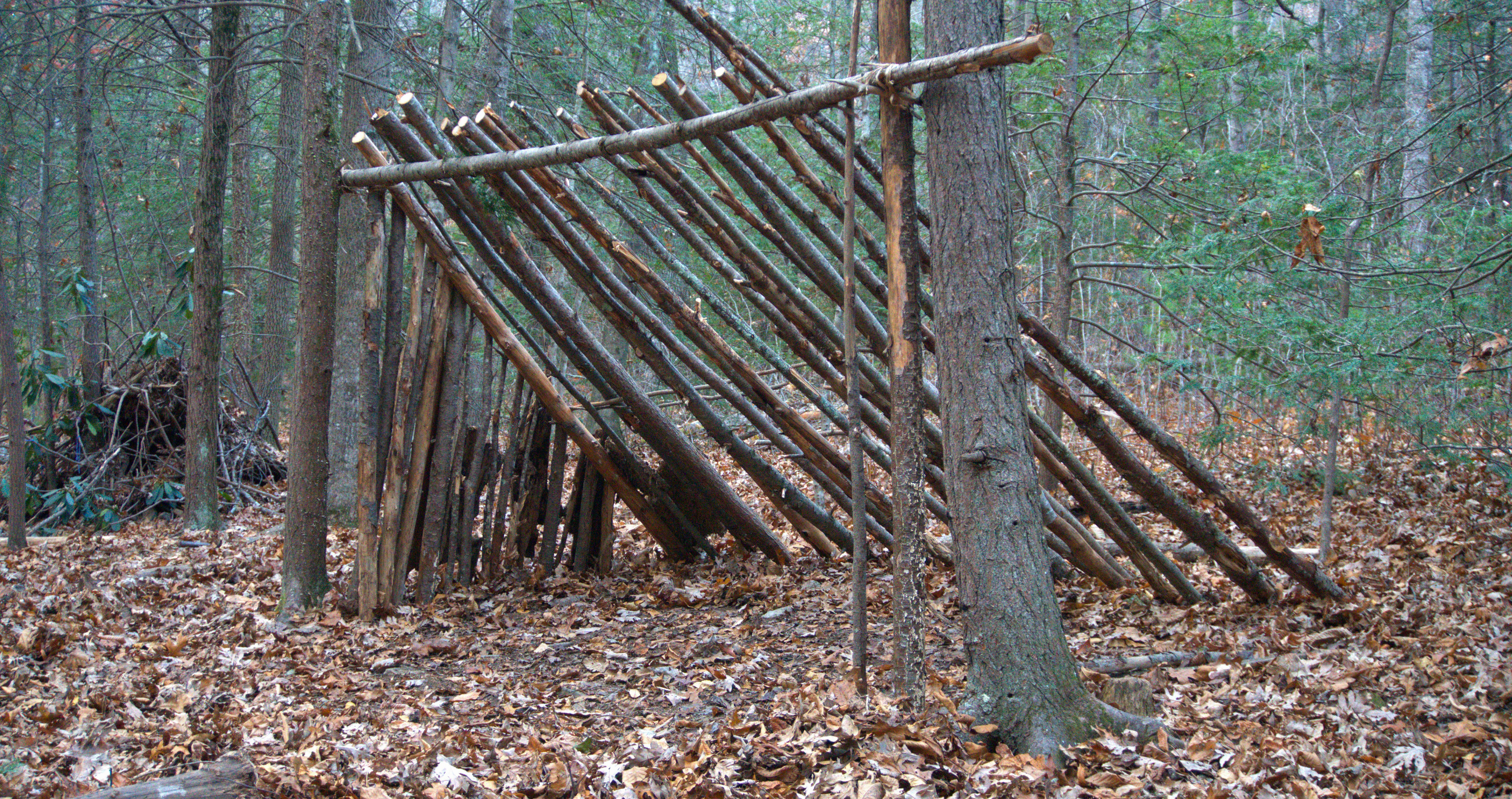 lean to shelter different types of shelters