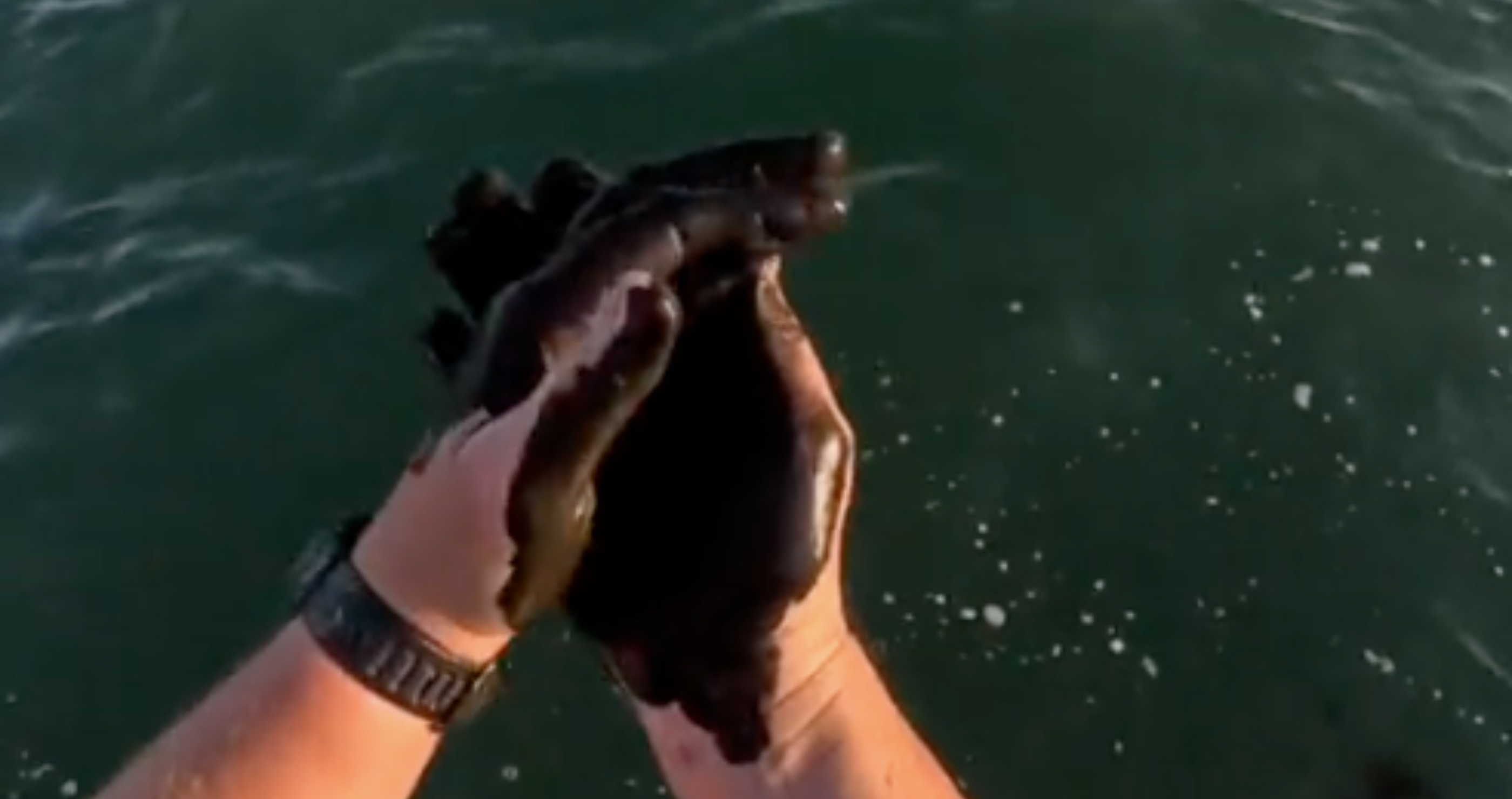 man rubs squid ink all over himself
