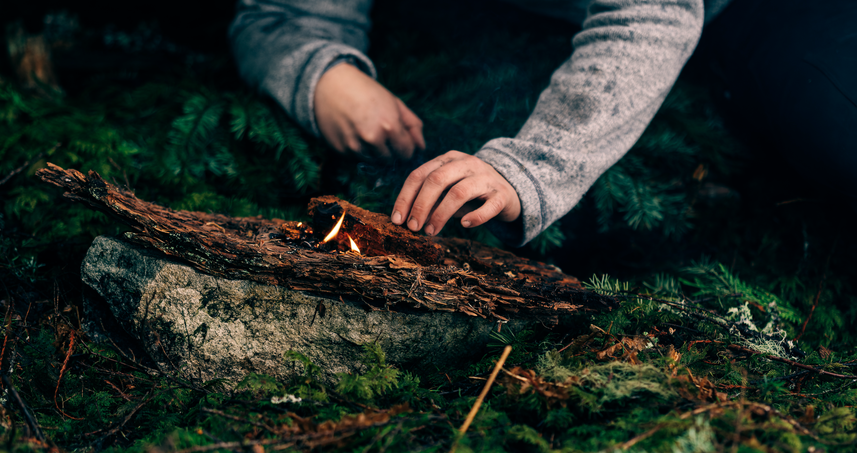 surviving the wilderness