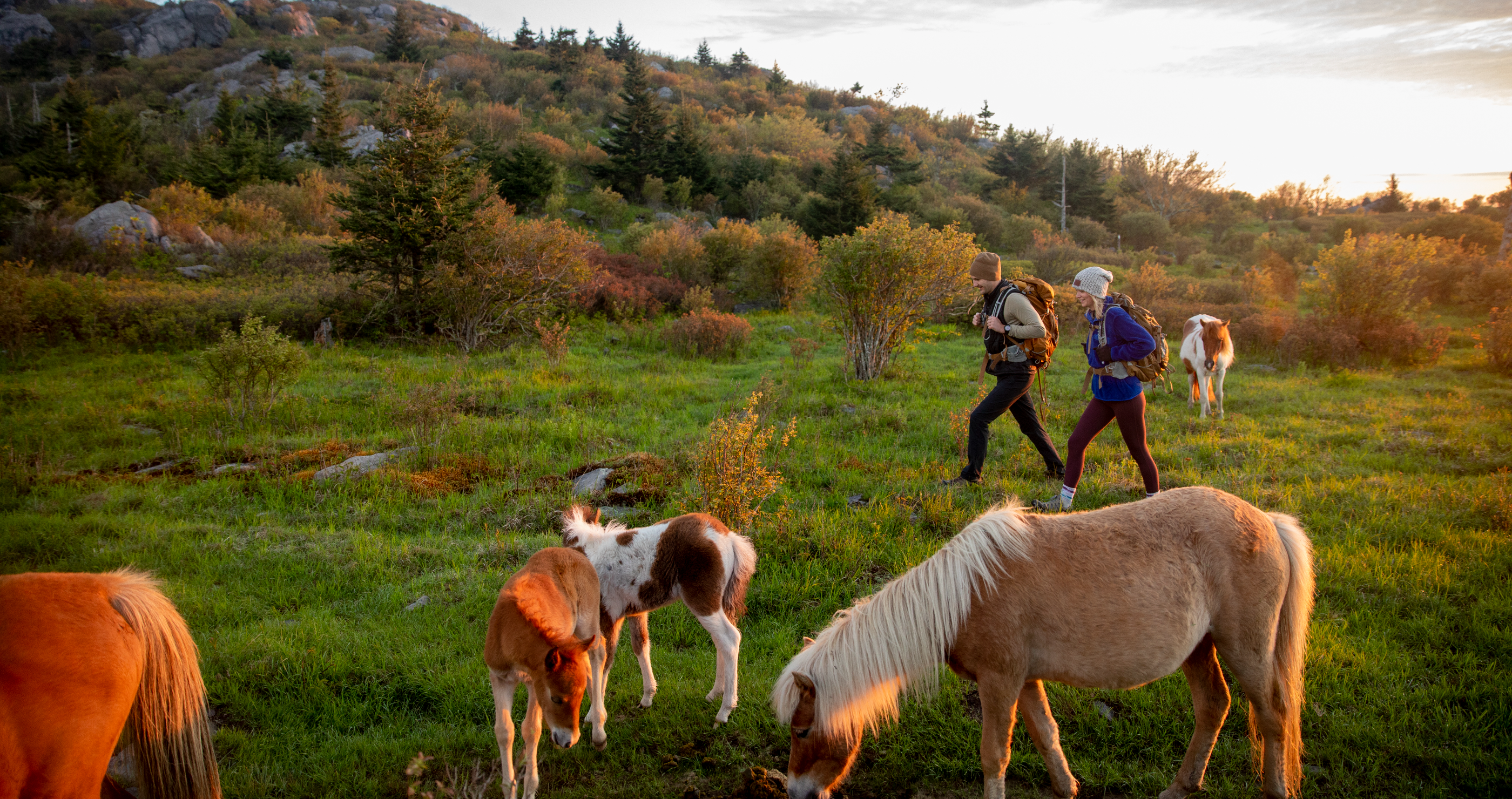 the best places to go camping in Virginia