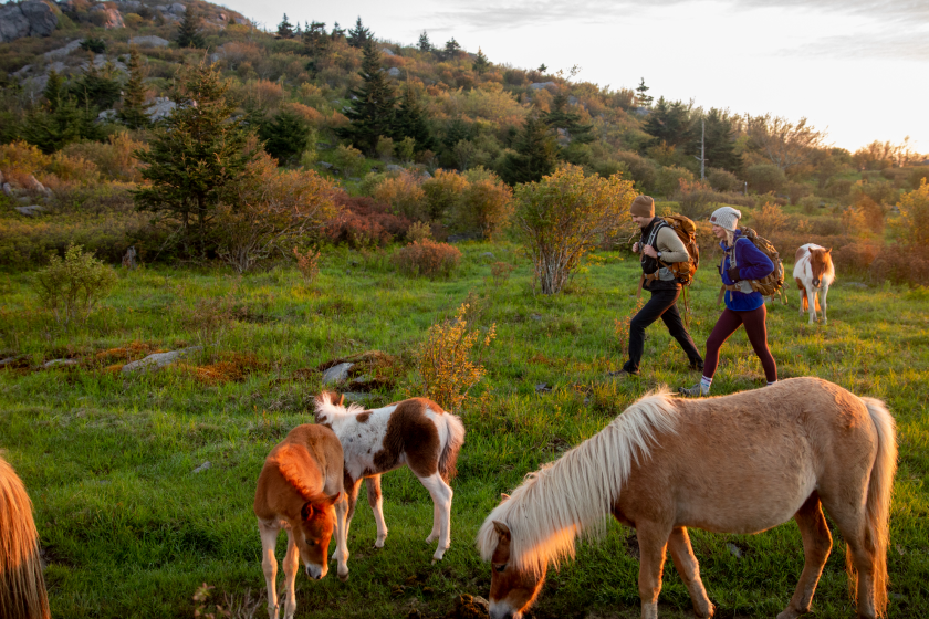 the best places to go camping in Virginia