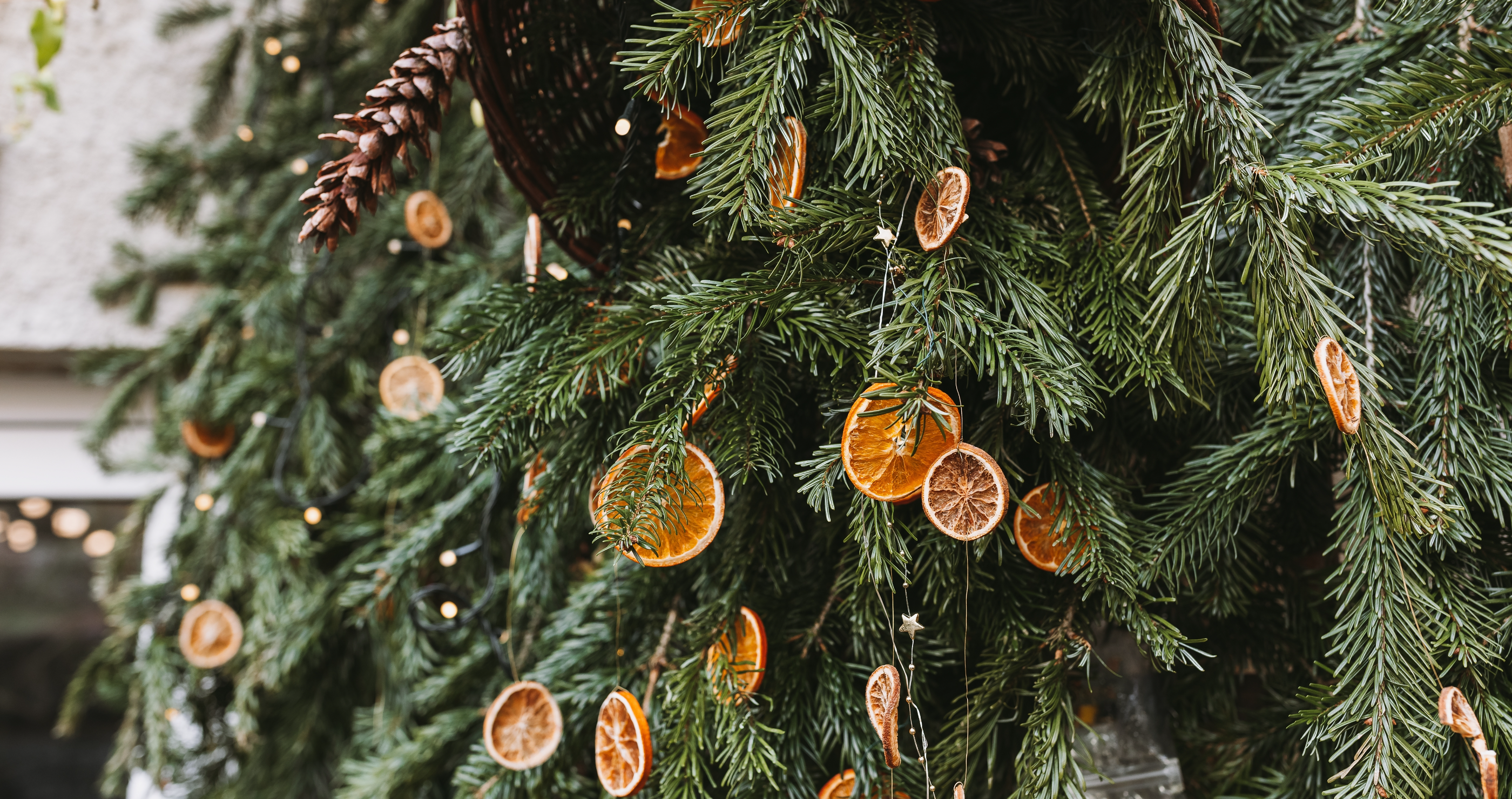 Christmas decorations that are wildlife friendly