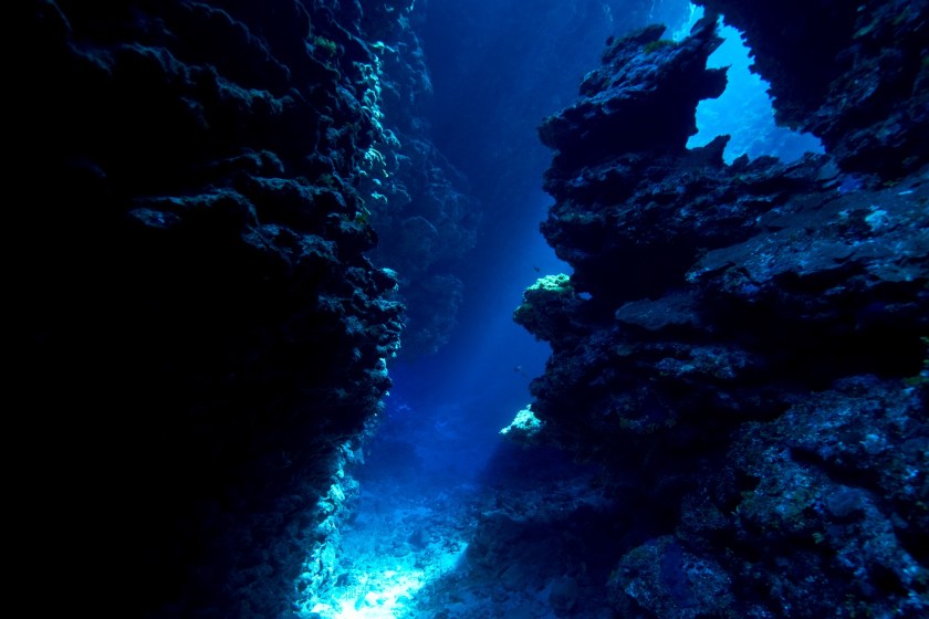 Deep Ocean Trench Hides Deep Sea Predator That Is Designed For Killing