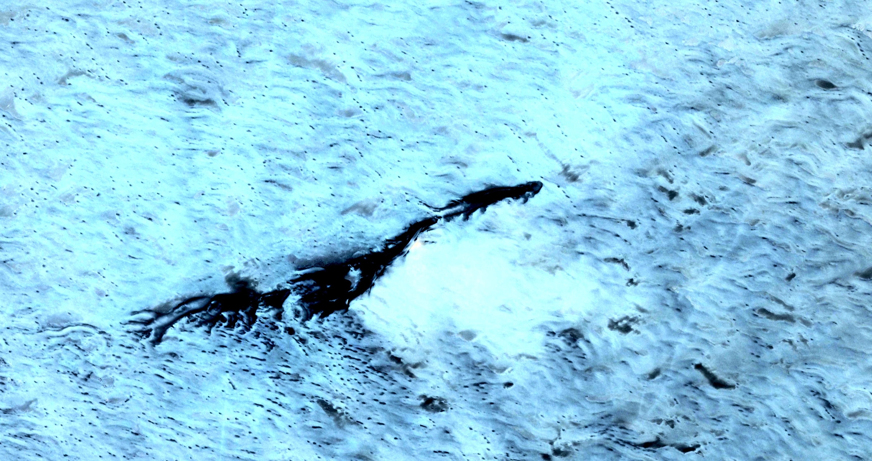 Loch Ness Monster