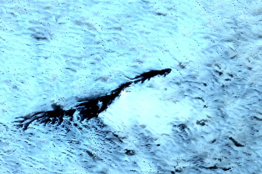 Loch Ness Monster