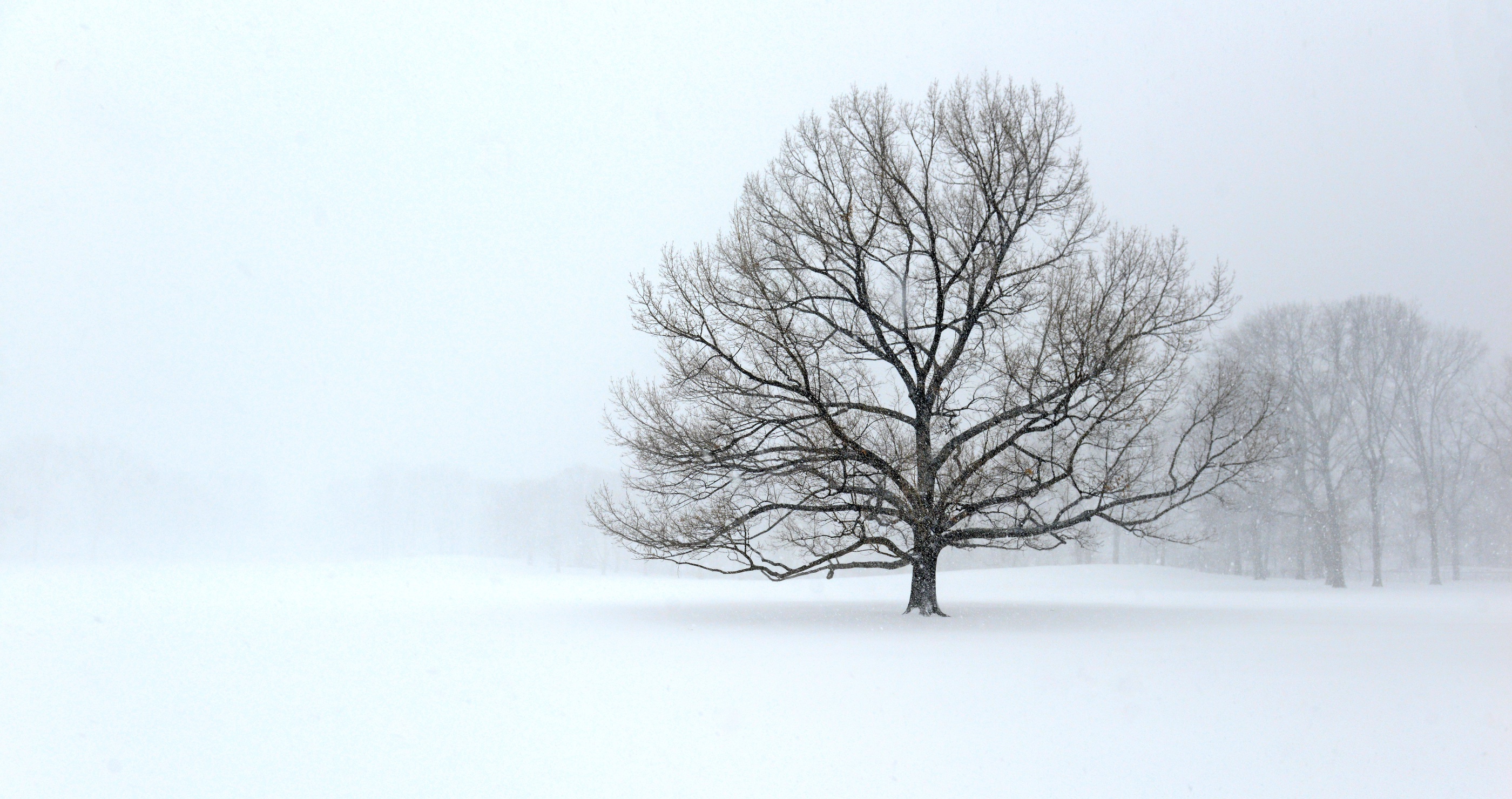 Polar vortex brings coldest month in decades