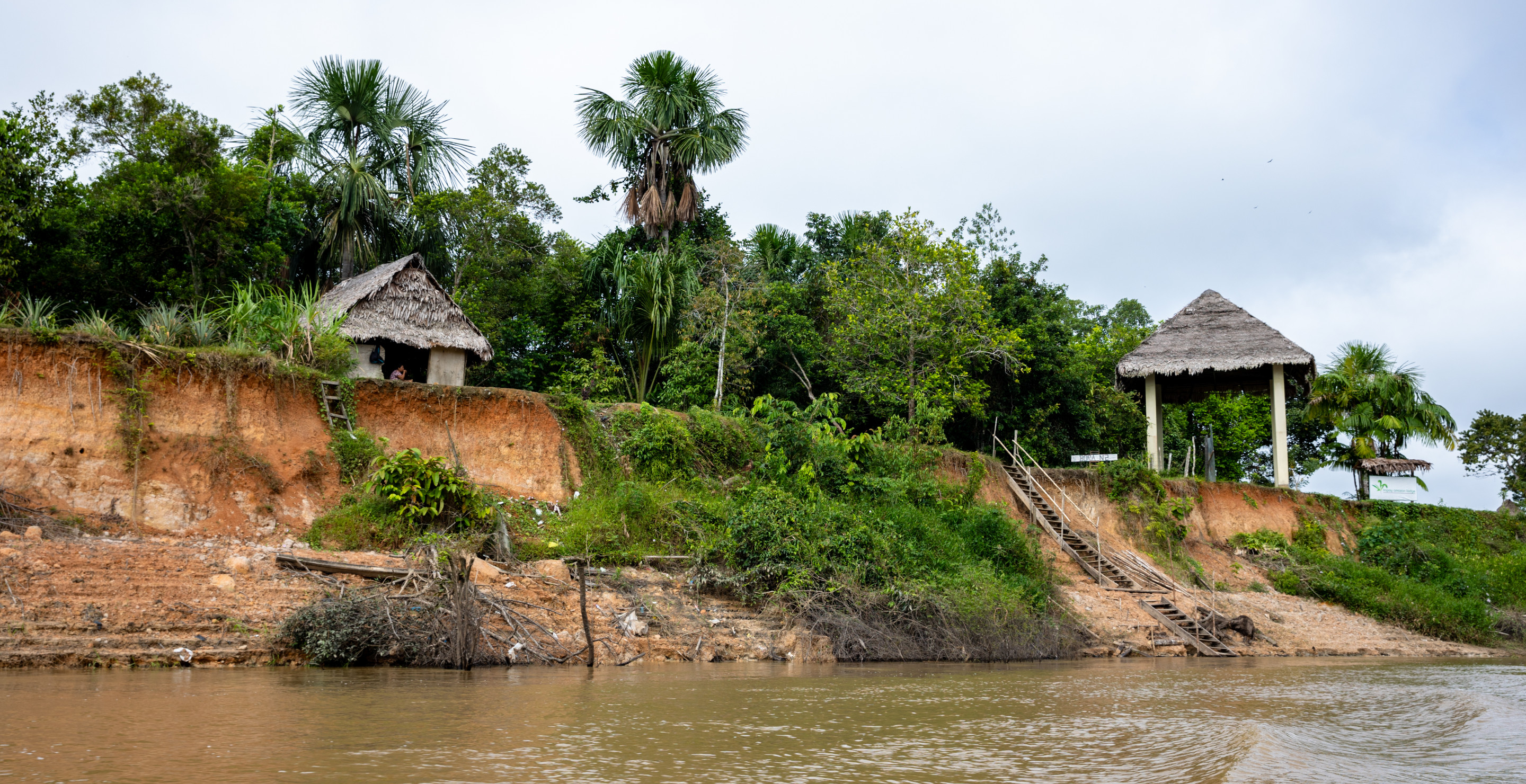 Traveler, Who Spent Five Days Living With Tribe In Amazon Jungle, Reveals The Worst Part Of Experience