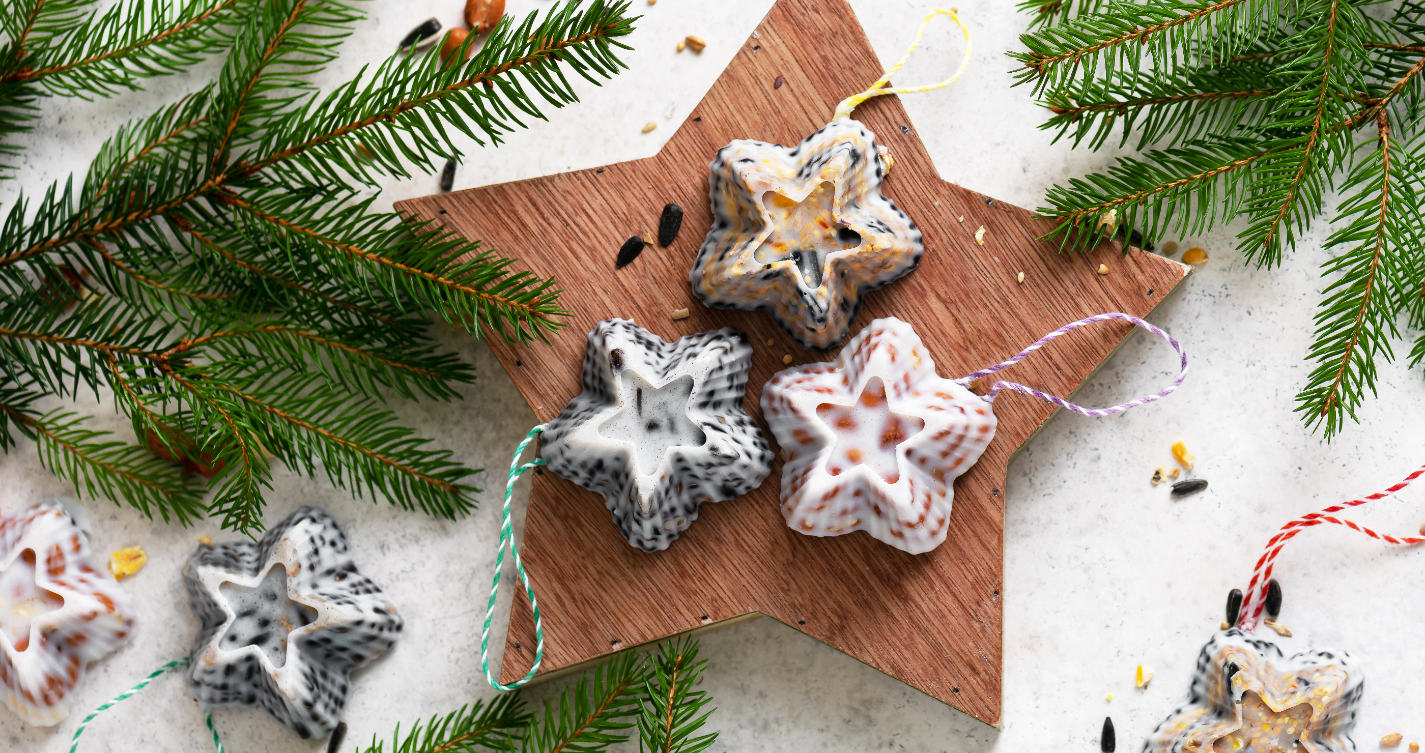 birdseed ornaments