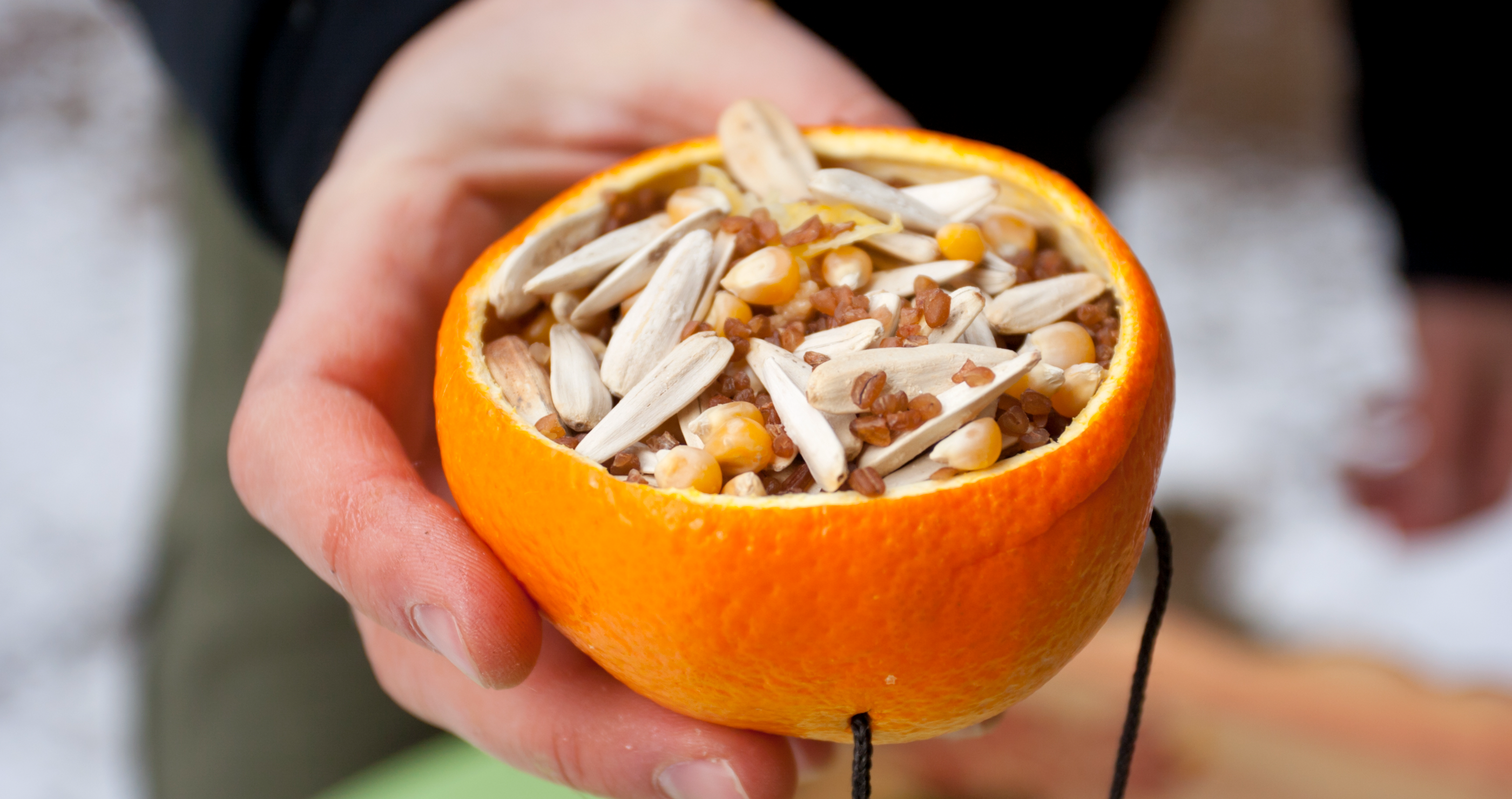 make a wildlife friendly tree with fruit bird feeders