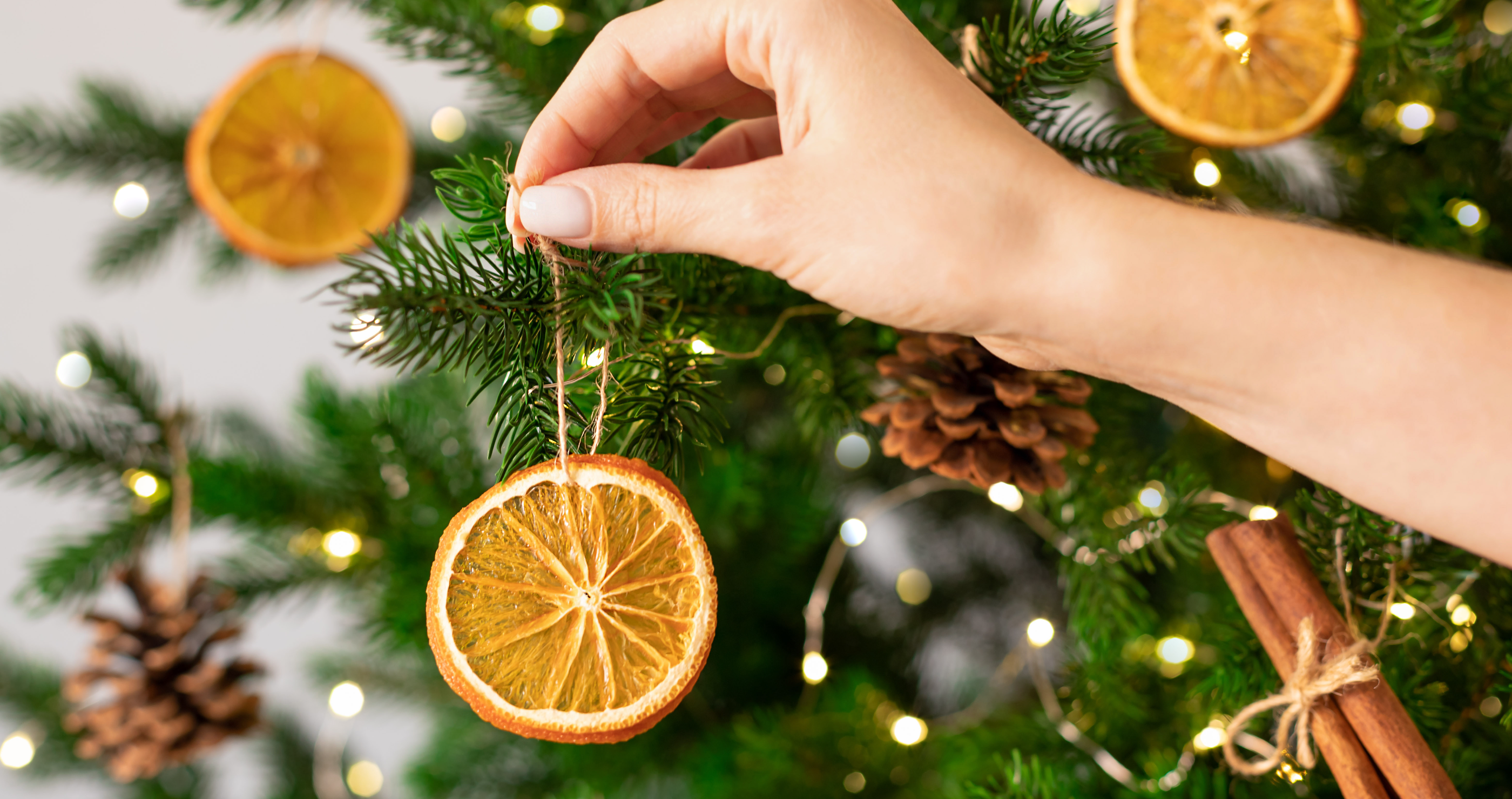 use dehydrated fruit for a wildlife friendly Christmas tree