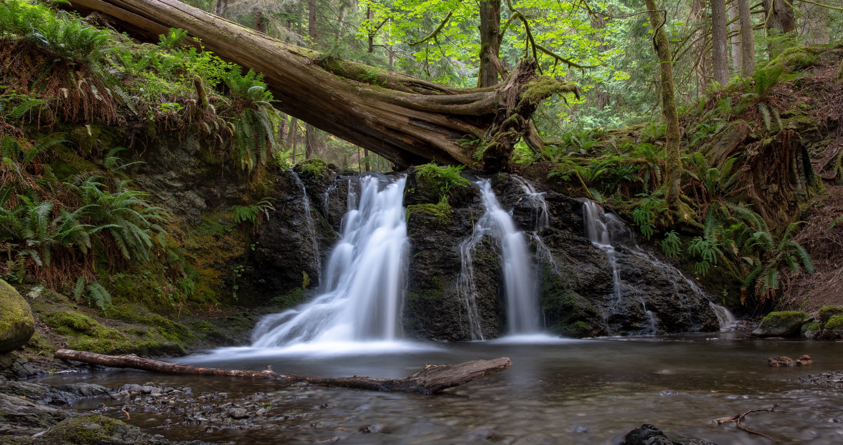 Best states for camping Moran State Park Washington