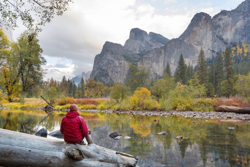 Camping in Yosemite National park