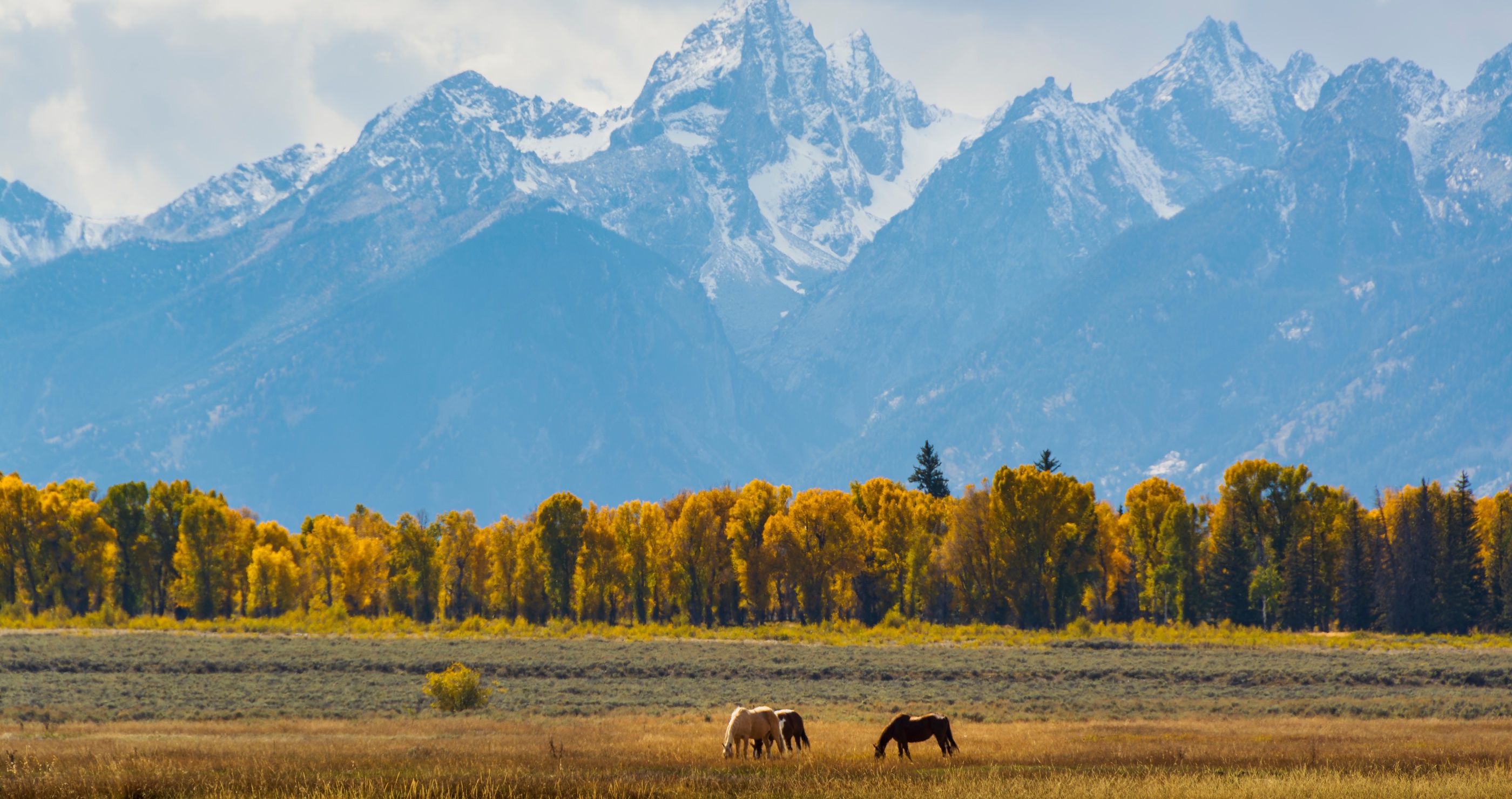 Grand Teton National Park saved from luxury condos