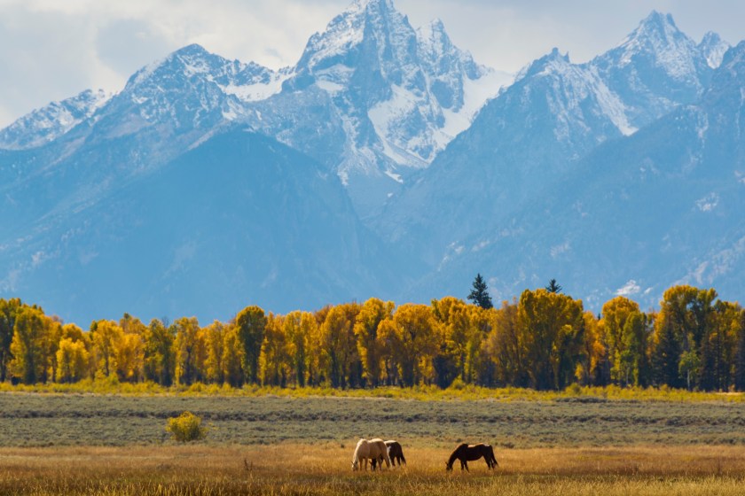 Grand Teton National Park saved from luxury condos