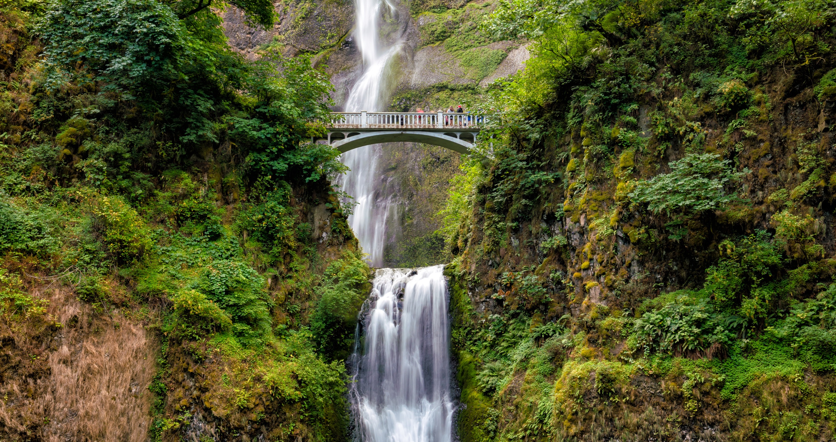best cities for solo travel in the U.S. Portland Oregon