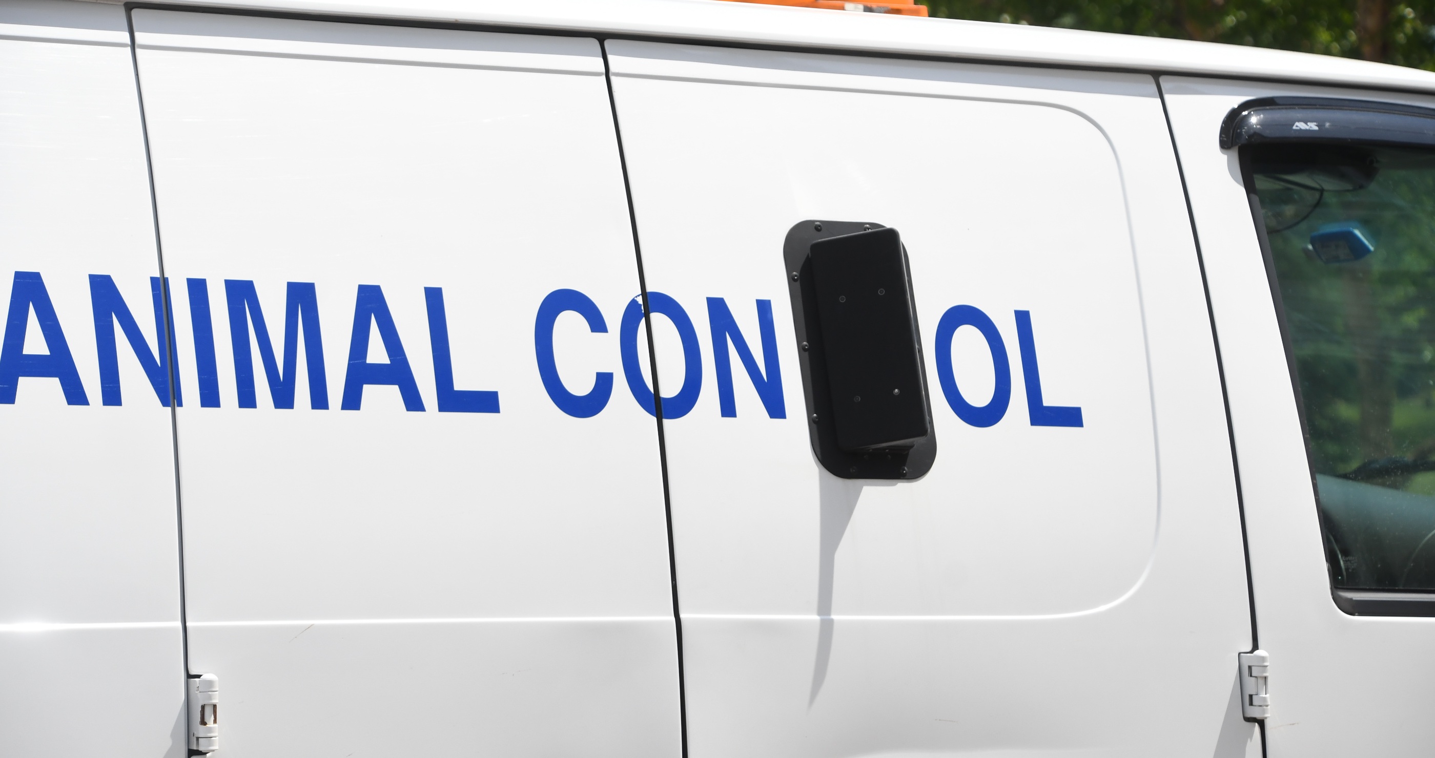 deaf woman killed and husband mauled by dogs
