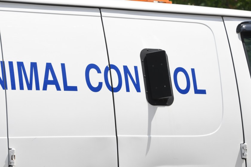 deaf woman killed and husband mauled by dogs