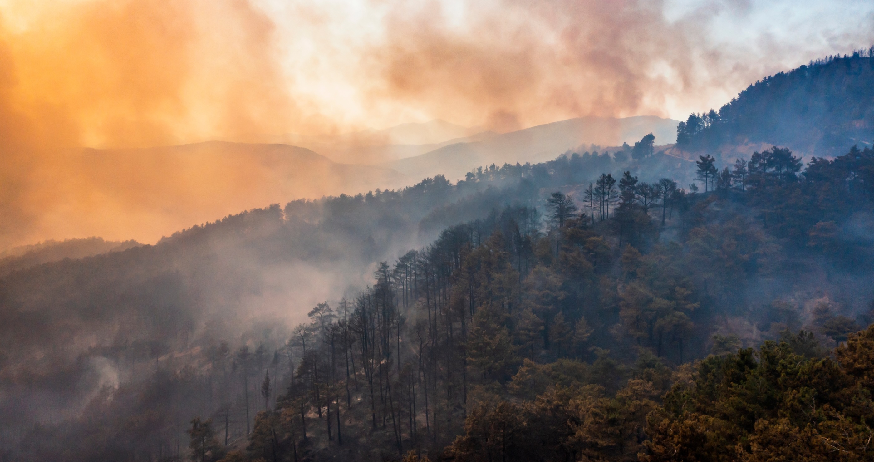 effects of wildfires can be felt far away