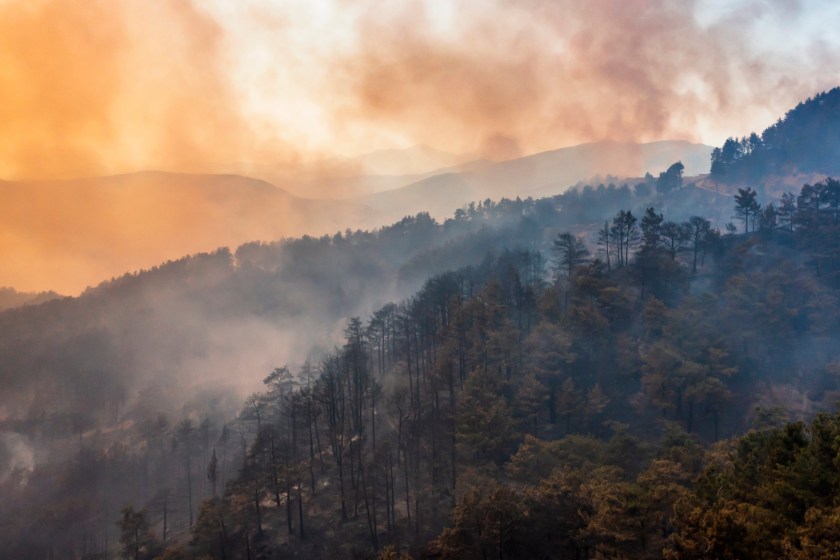 effects of wildfires can be felt far away