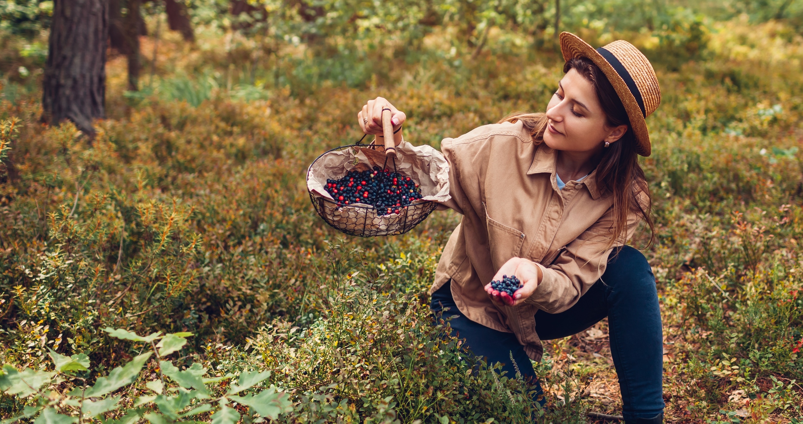 finding food in the forest details on foraging