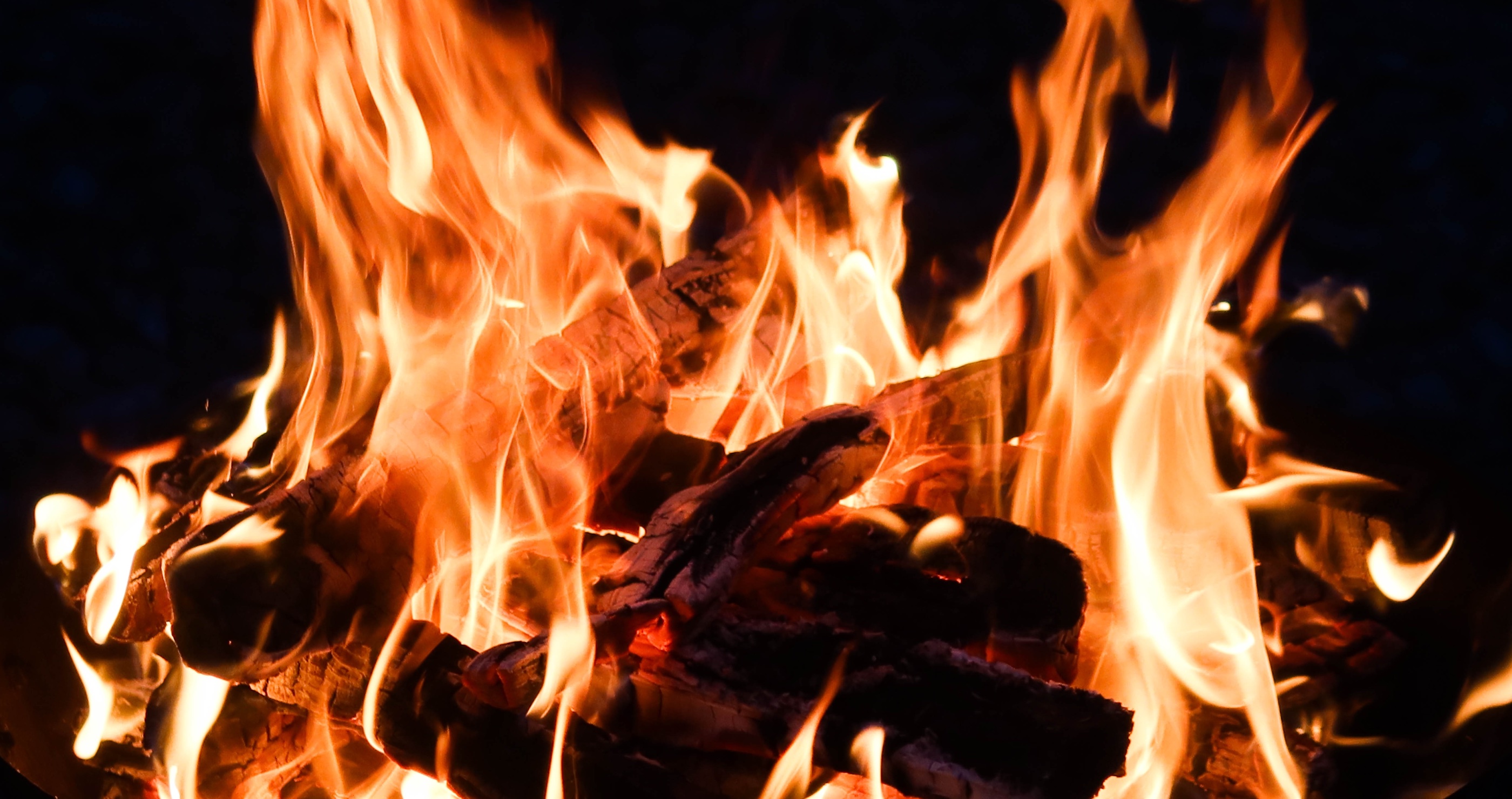 surviving in the woods fire is essential