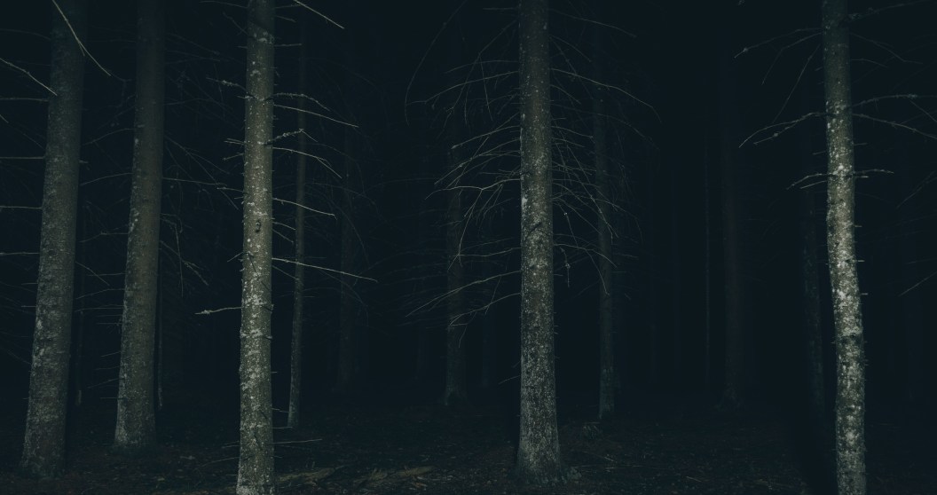 Teen Hiker Who Was Lost In The Woods Shares Her Experience dark mysterious woods at night