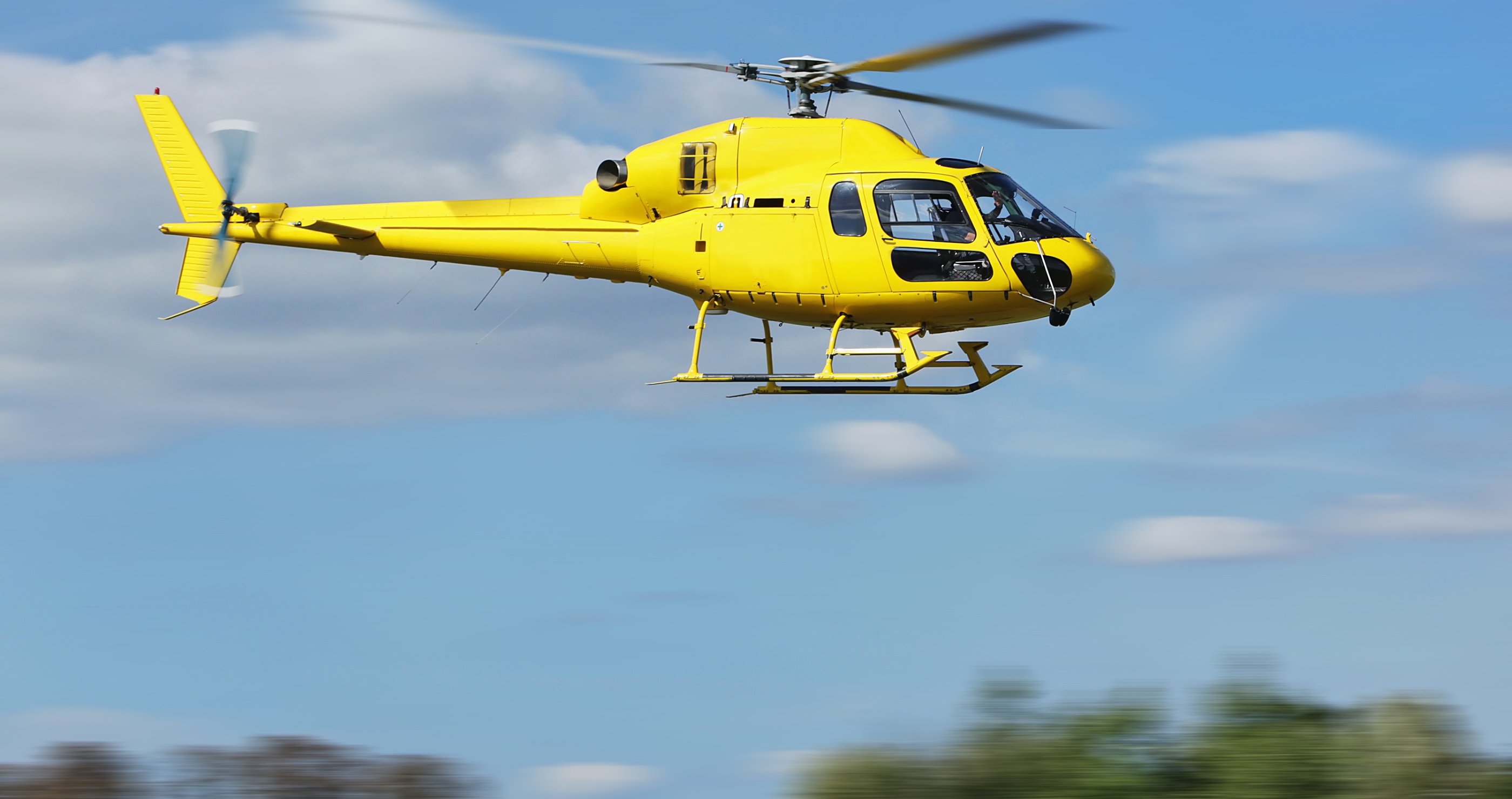 search and rescue look for teen lost in the woods