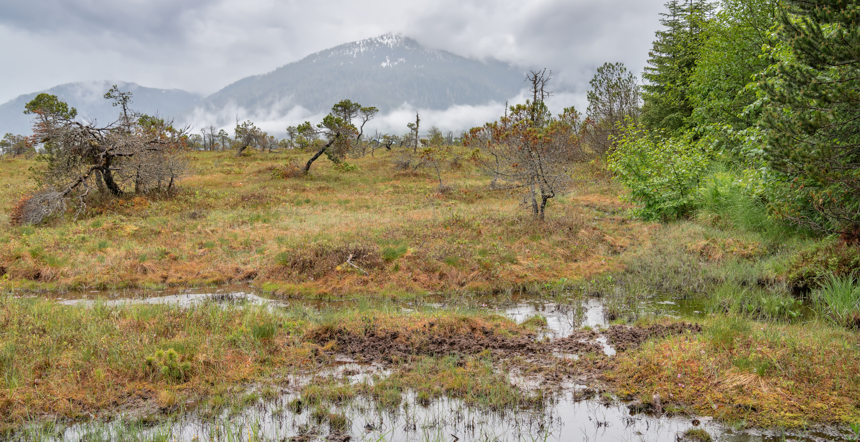 92-Year-Old Man Dies After Getting Trapped In Mud For 24 Hours