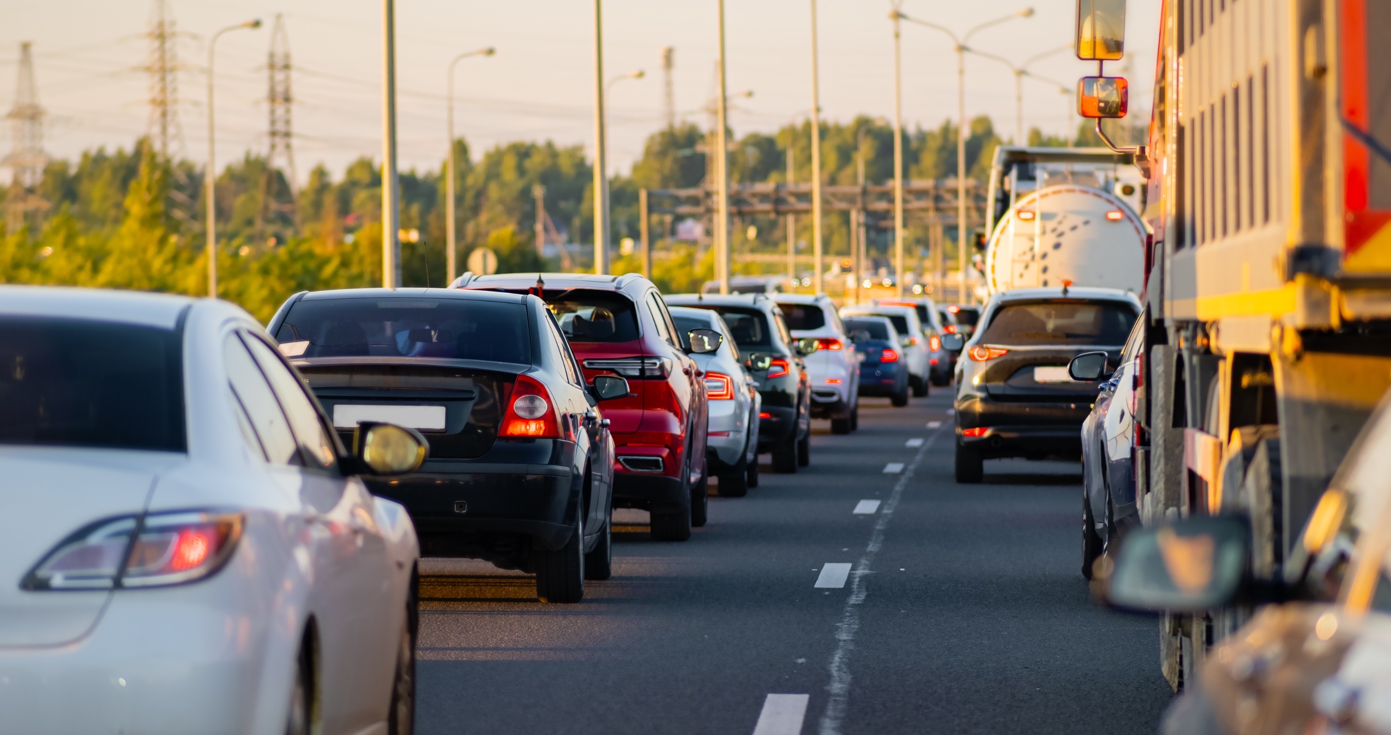 Birds Get Road Rage From Sound Of Traffic&nbsp;