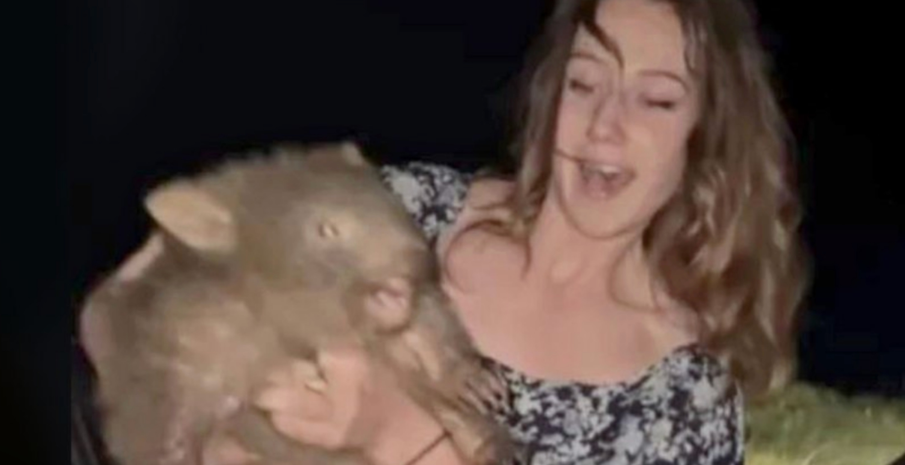 Hunting Influencer Could Get Deported Over Snatching Baby Wombat From Mothe