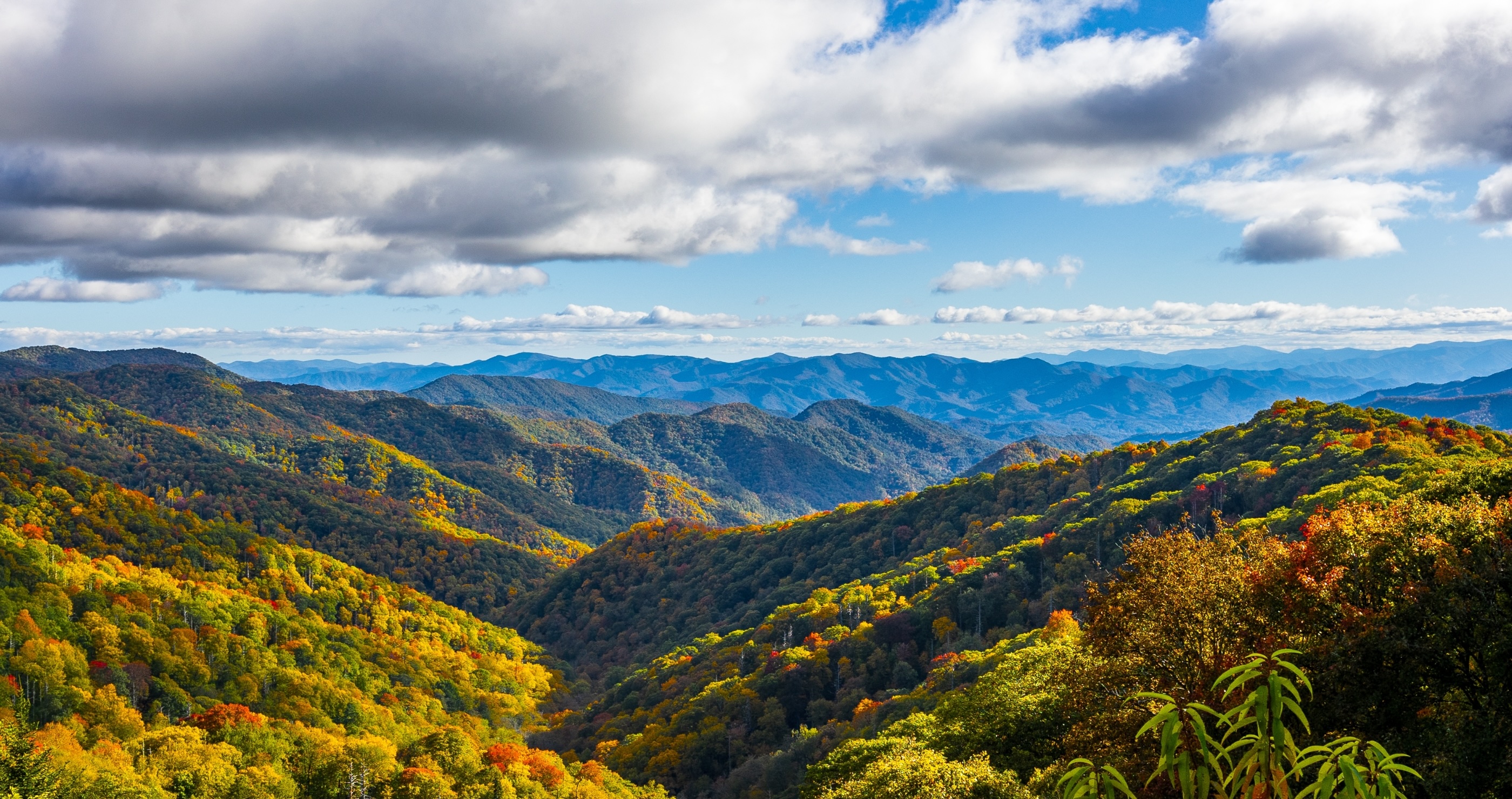 deadliest national parks in the US