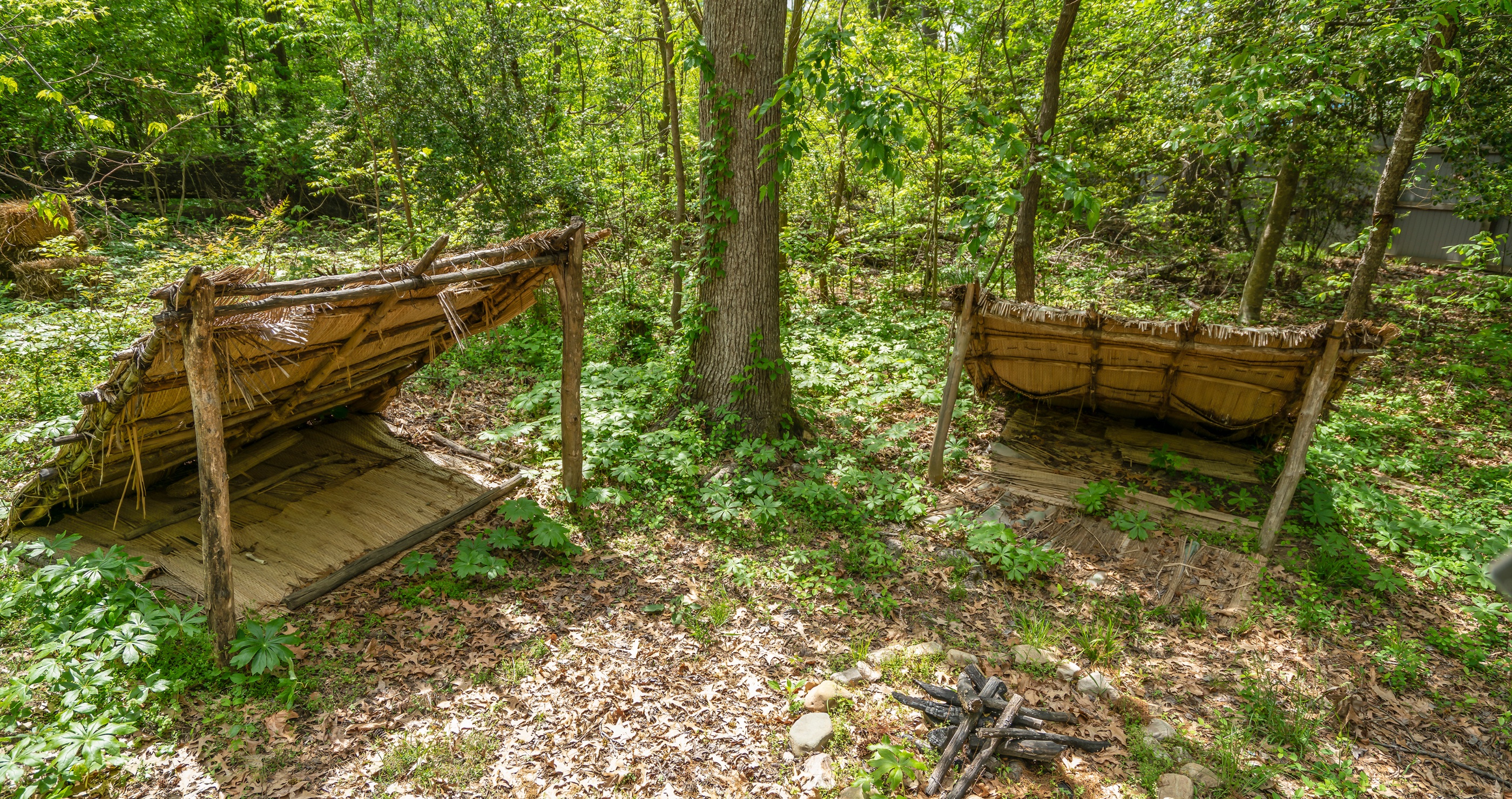 family-friendly outdoor skills build a lean to shelter