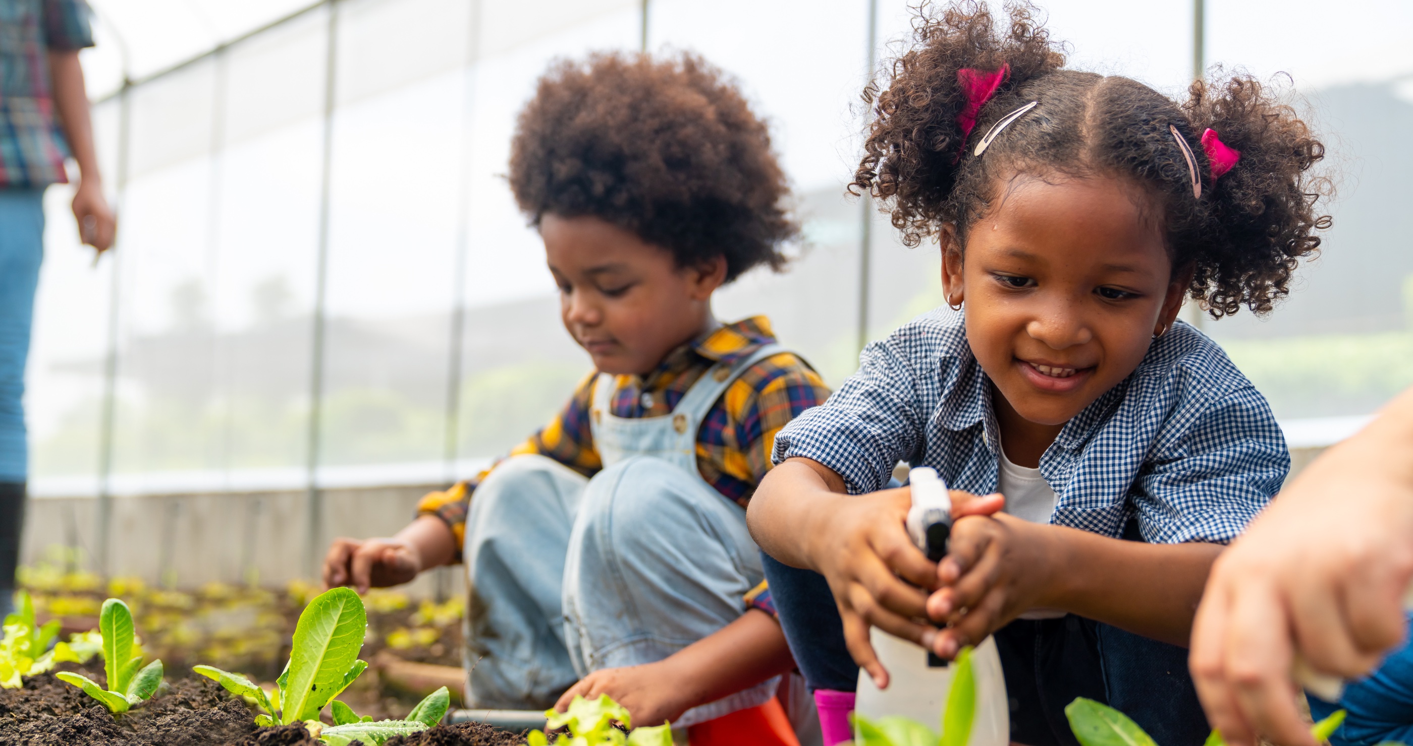 family-friendly outdoor skills gardening