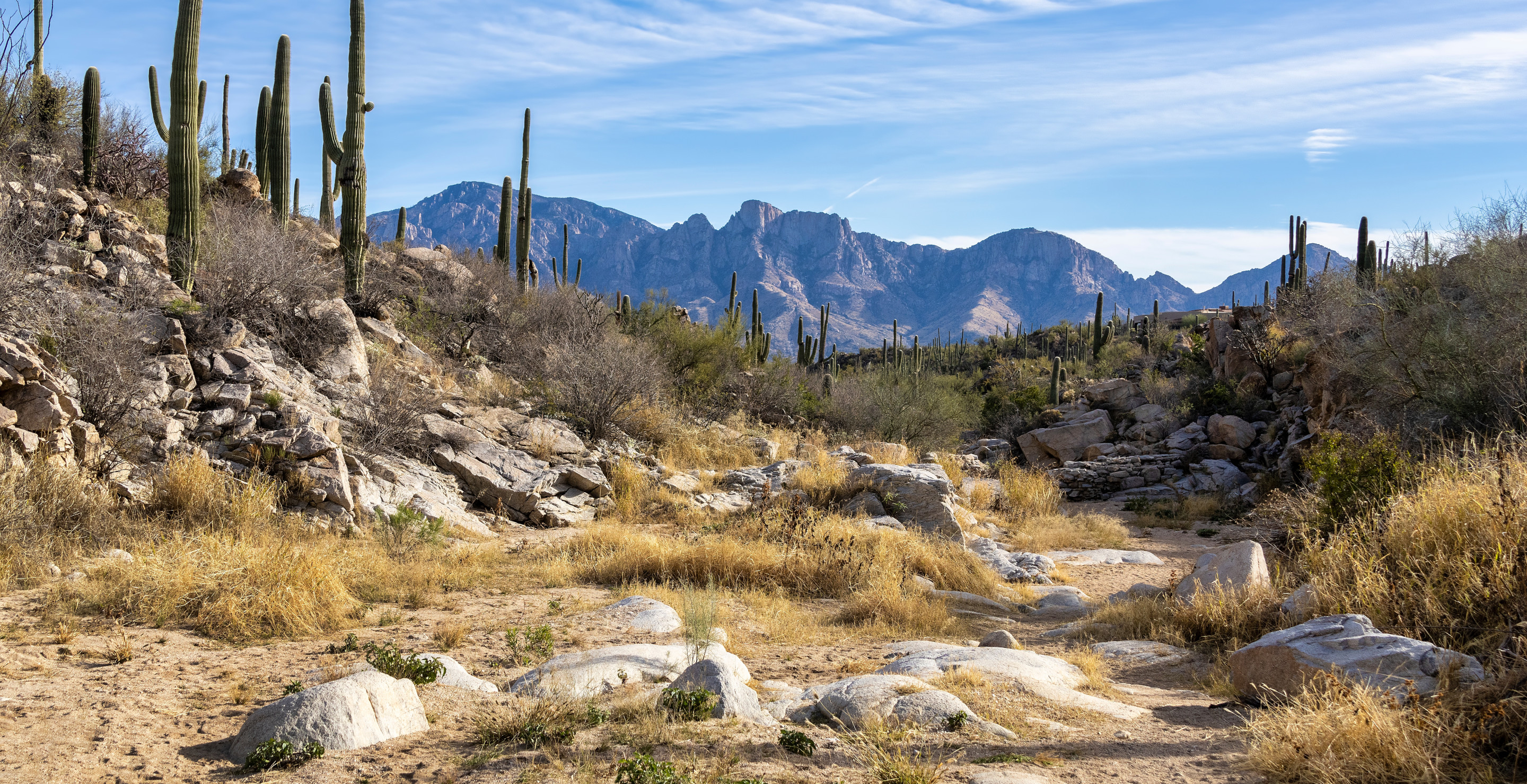 25 Children With Special Needs Rescued On Trail As Temperatures Soar In Arizona
