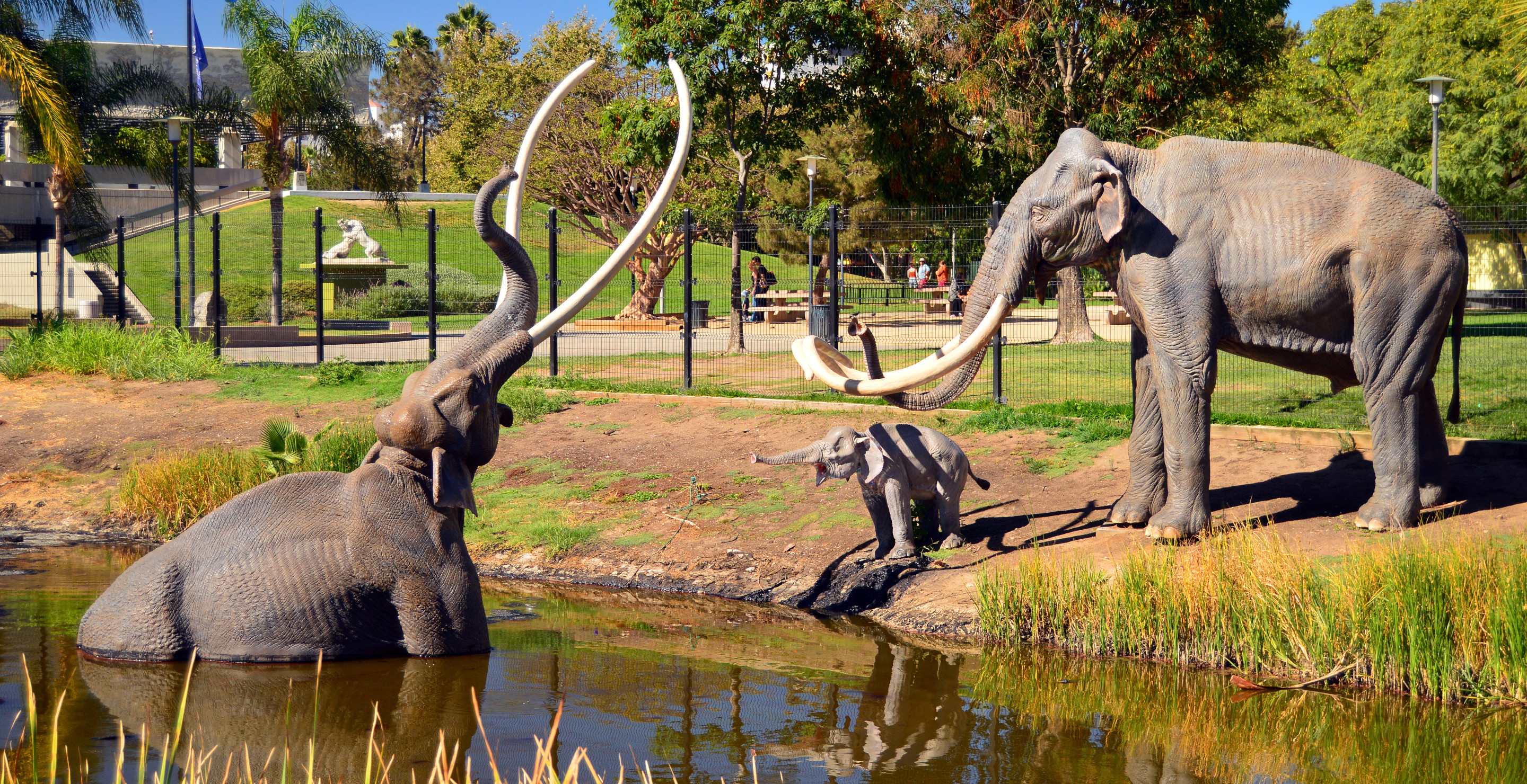 La Brea Tar Pits In California