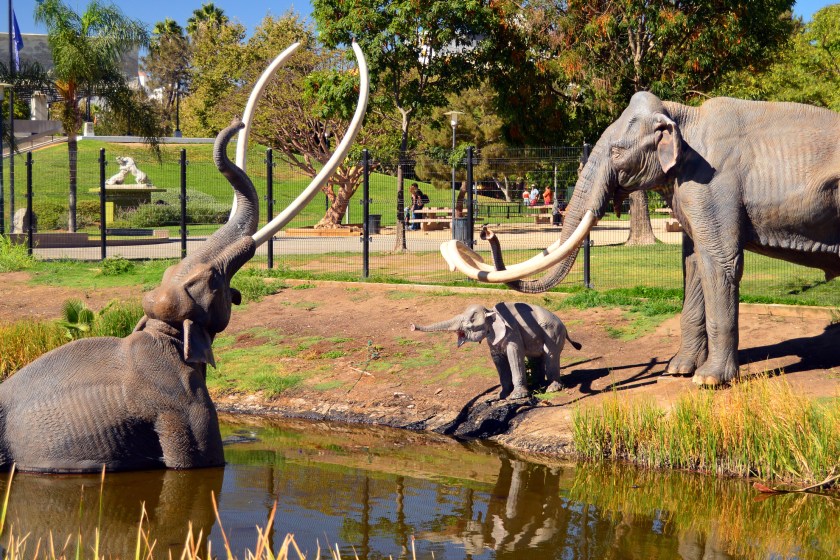 La Brea Tar Pits In California