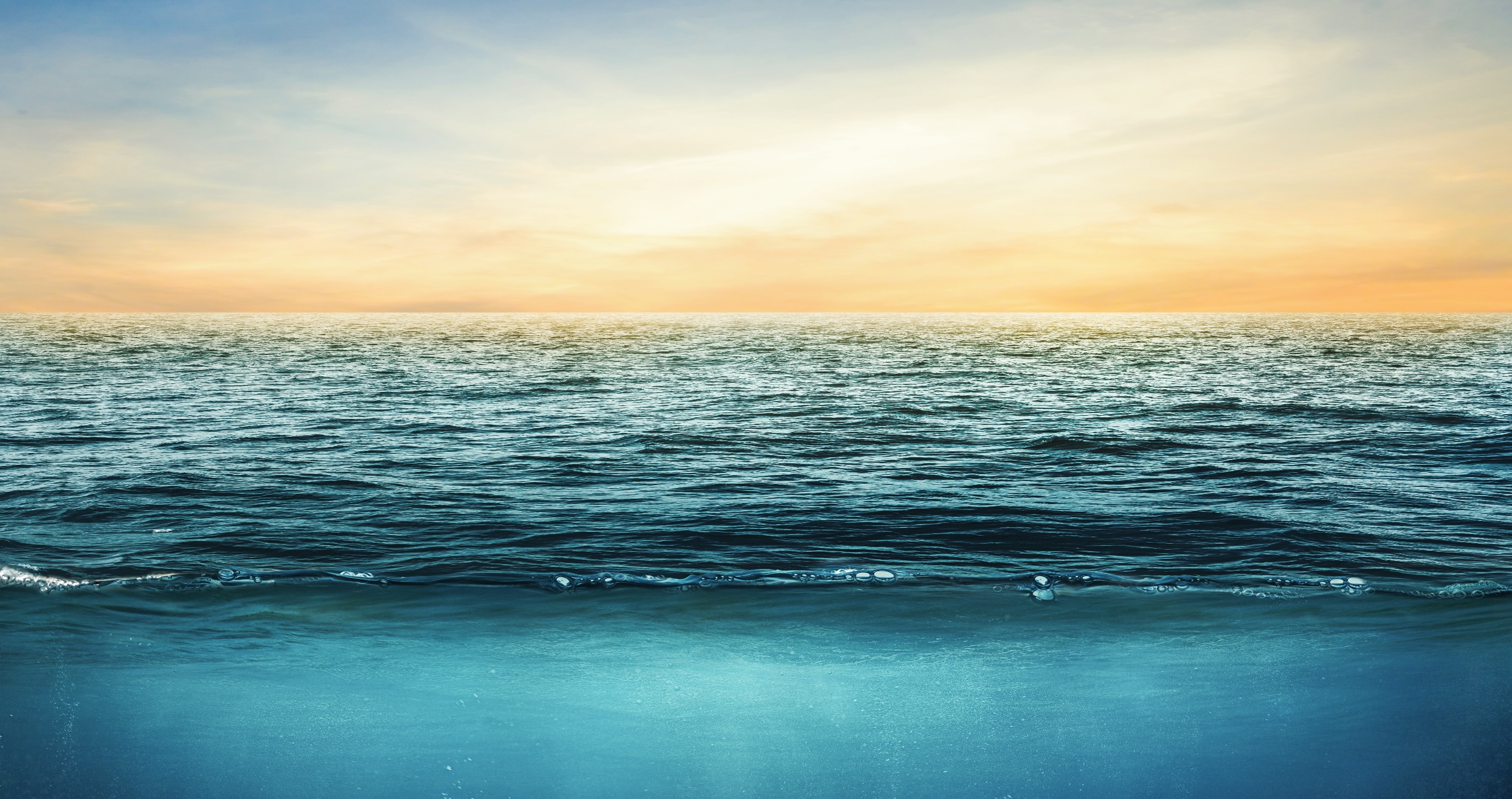 A Creepy Invasive Species Has Invaded US Waters- What That Means For Us