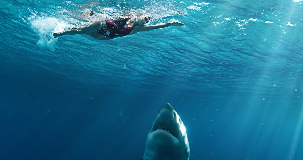 Crazy Shark Attack Inspires Push For New Shark Alarm System