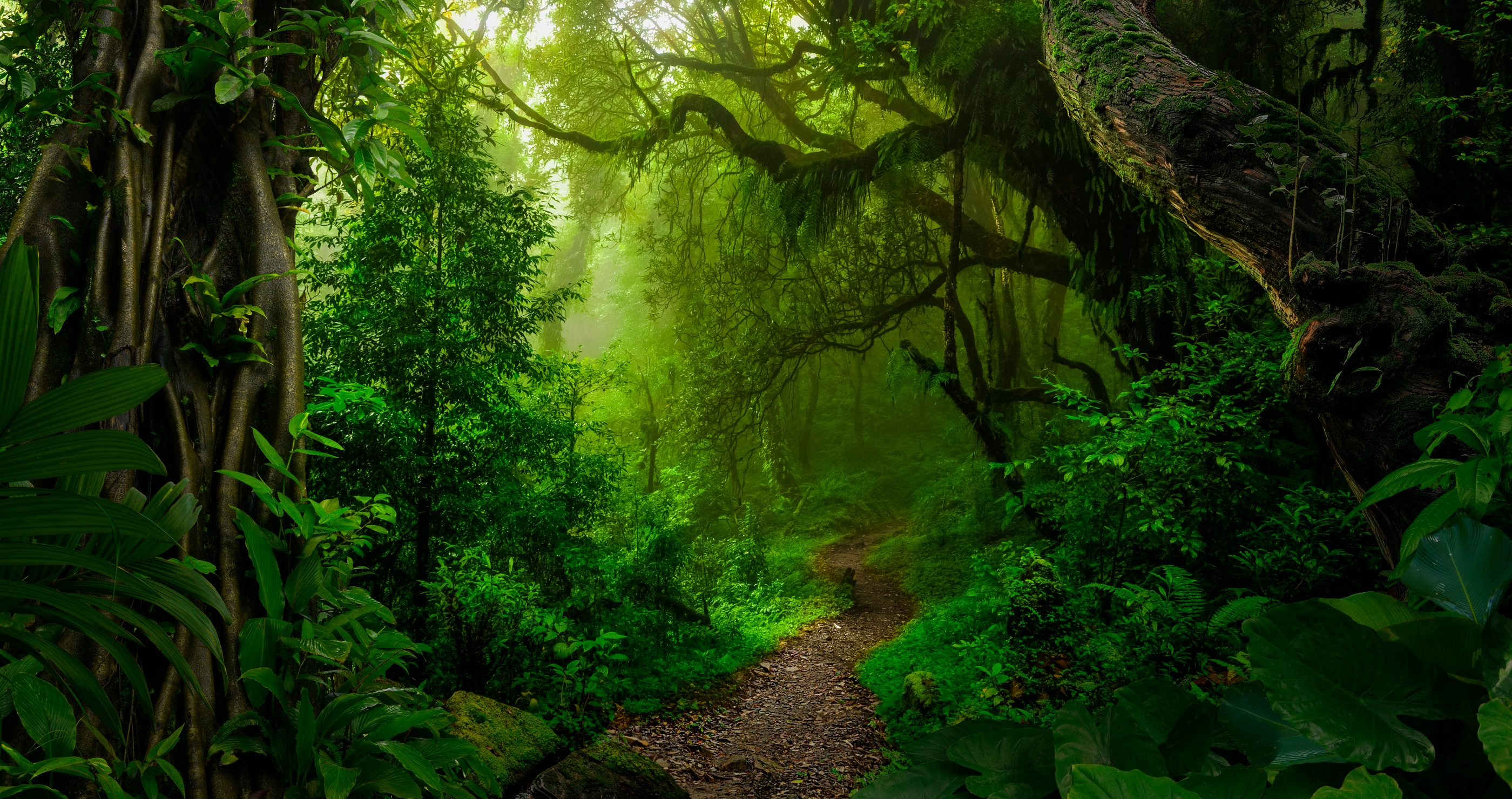 The most important thing you should know about nature and survival tips