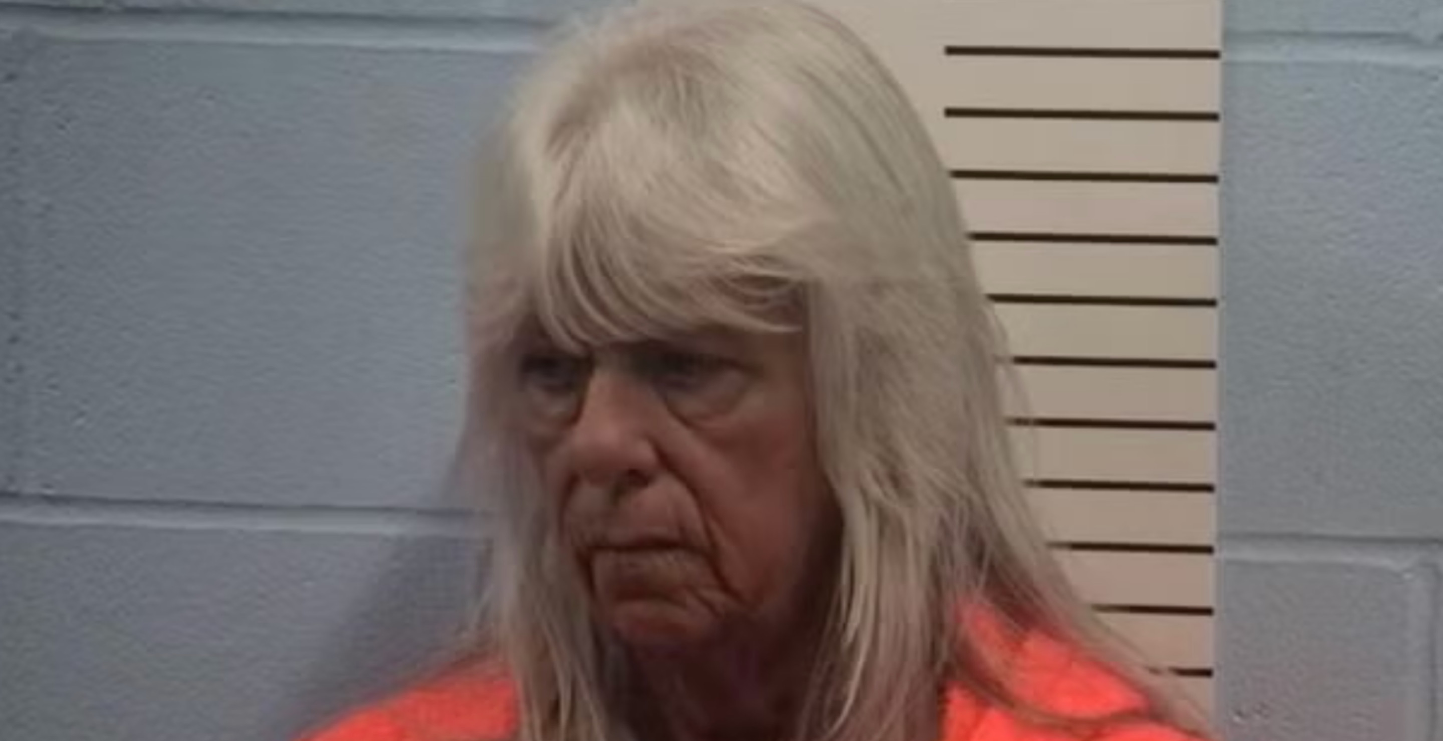 Foster Mom Accused Of Trading A Child For A Pet Monkey