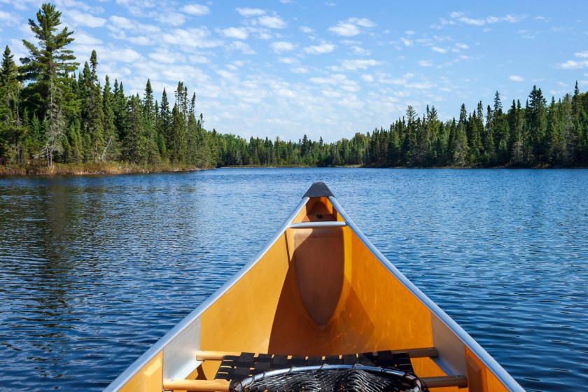 Man Goes On A Canoe Trip That Is So Epic That It Became A Movie