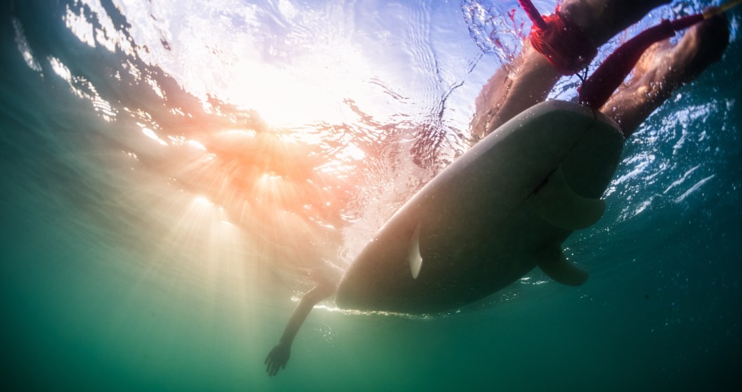 Sea Lion Charges At Surfer In Absolutely Terrifying Attack