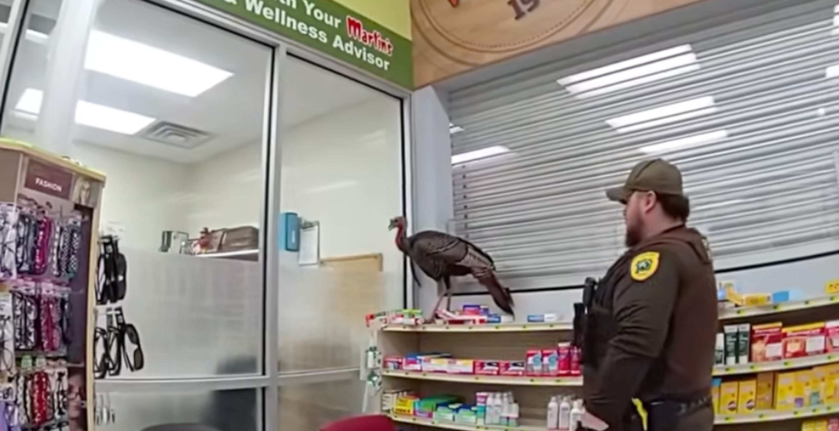 Wild Turkey Goes Amuck In Grocery Store, Gets Police Called On It: "No Harm, No Fowl"